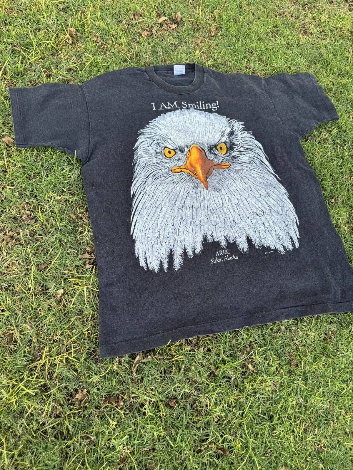 Vintage Vintage Bald Eagle T Shirt Sitka Alaska I AM SMILING 1996 Size US XL / EU 56 / 4 - 3 Thumbnail