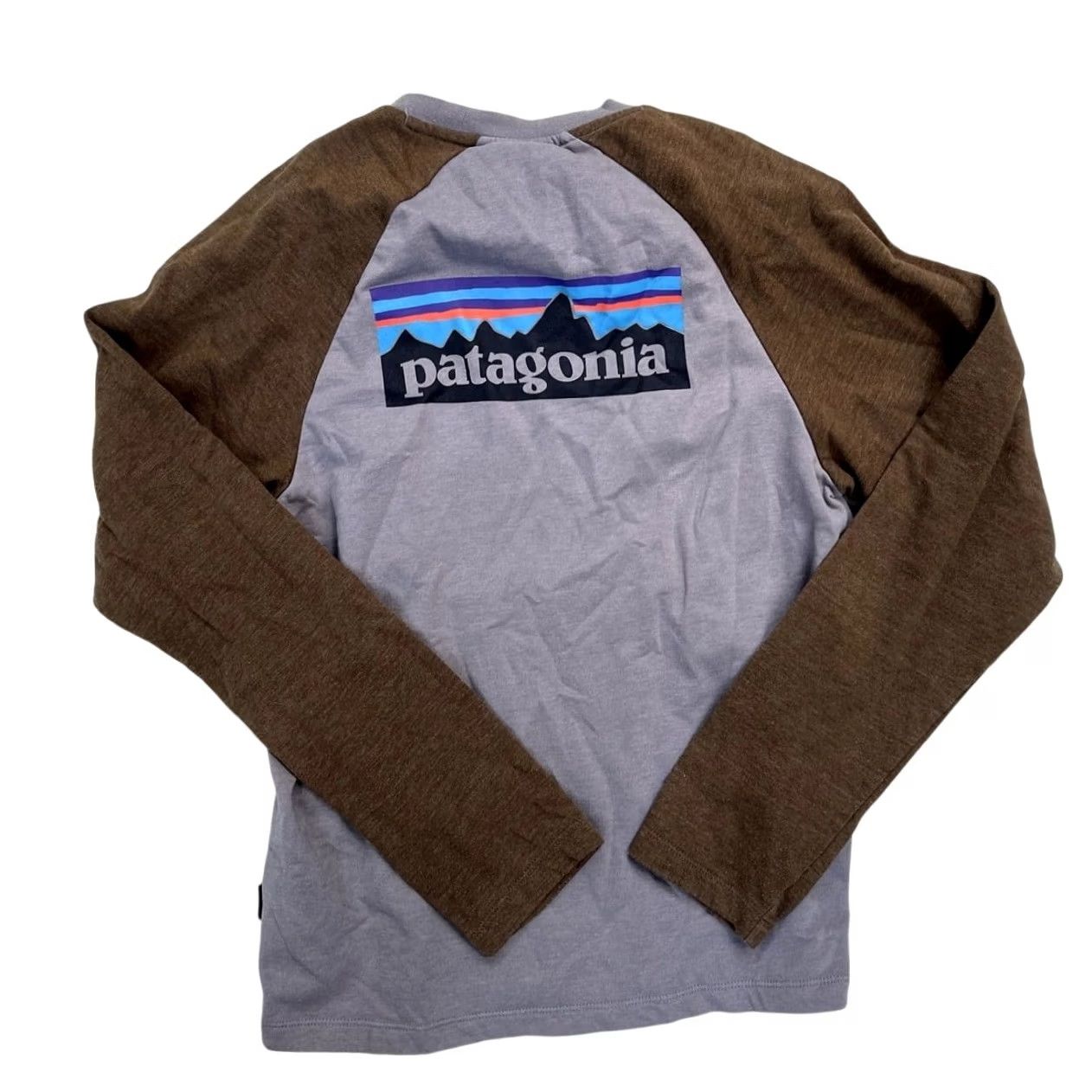 Patagonia VINTAGE Patagonia Men's P-6 Logo Lightweight Crew Sweatshirt Size S Basin Green Sweatshirt Mens 1950s 60s 70s Size US S / EU 44-46 / 1 - 2 Thumbnail