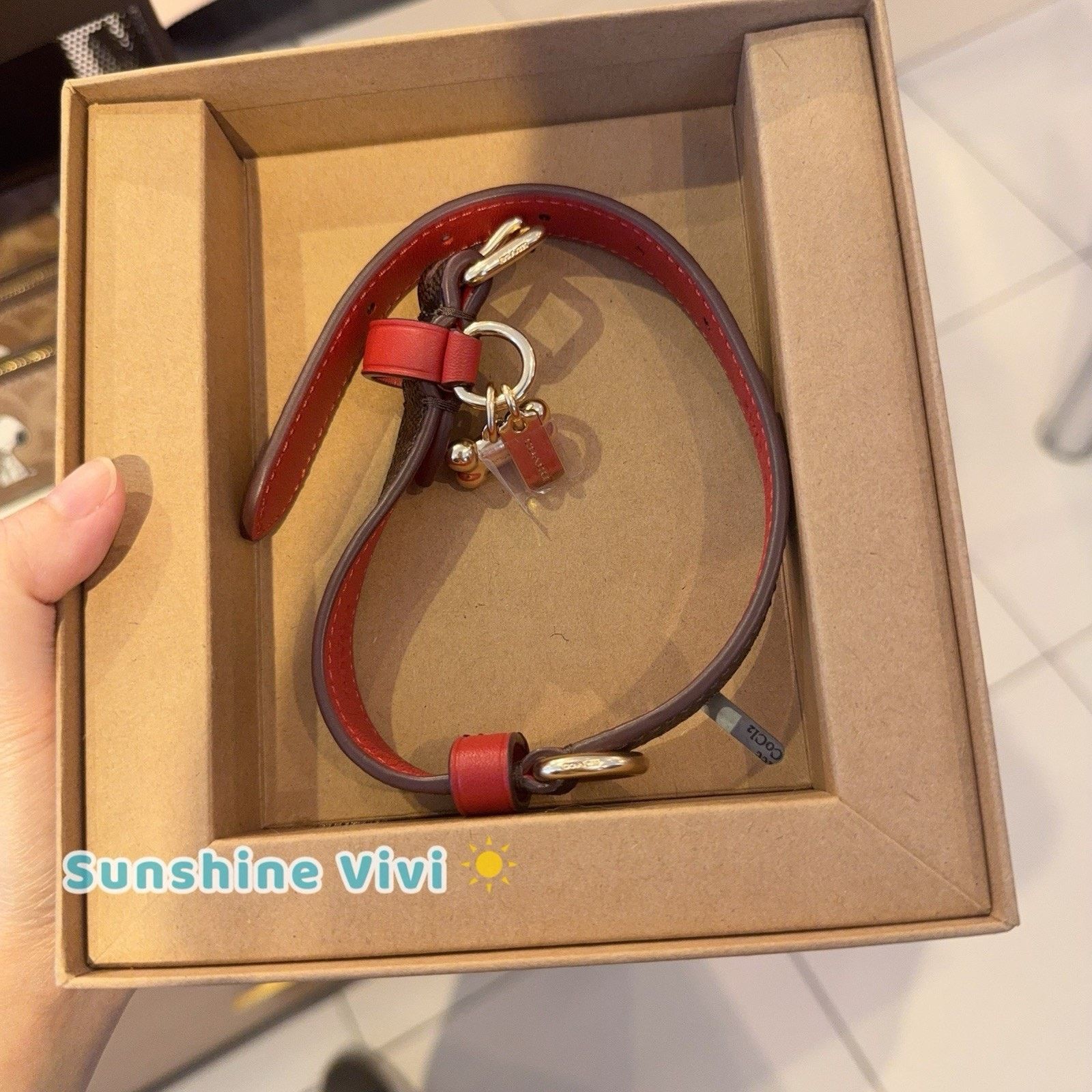 Coach NWT Coach Boxed Small Pet Collar CX158 Gold/Walnut/Bold Red Size ONE SIZE - 2 Thumbnail
