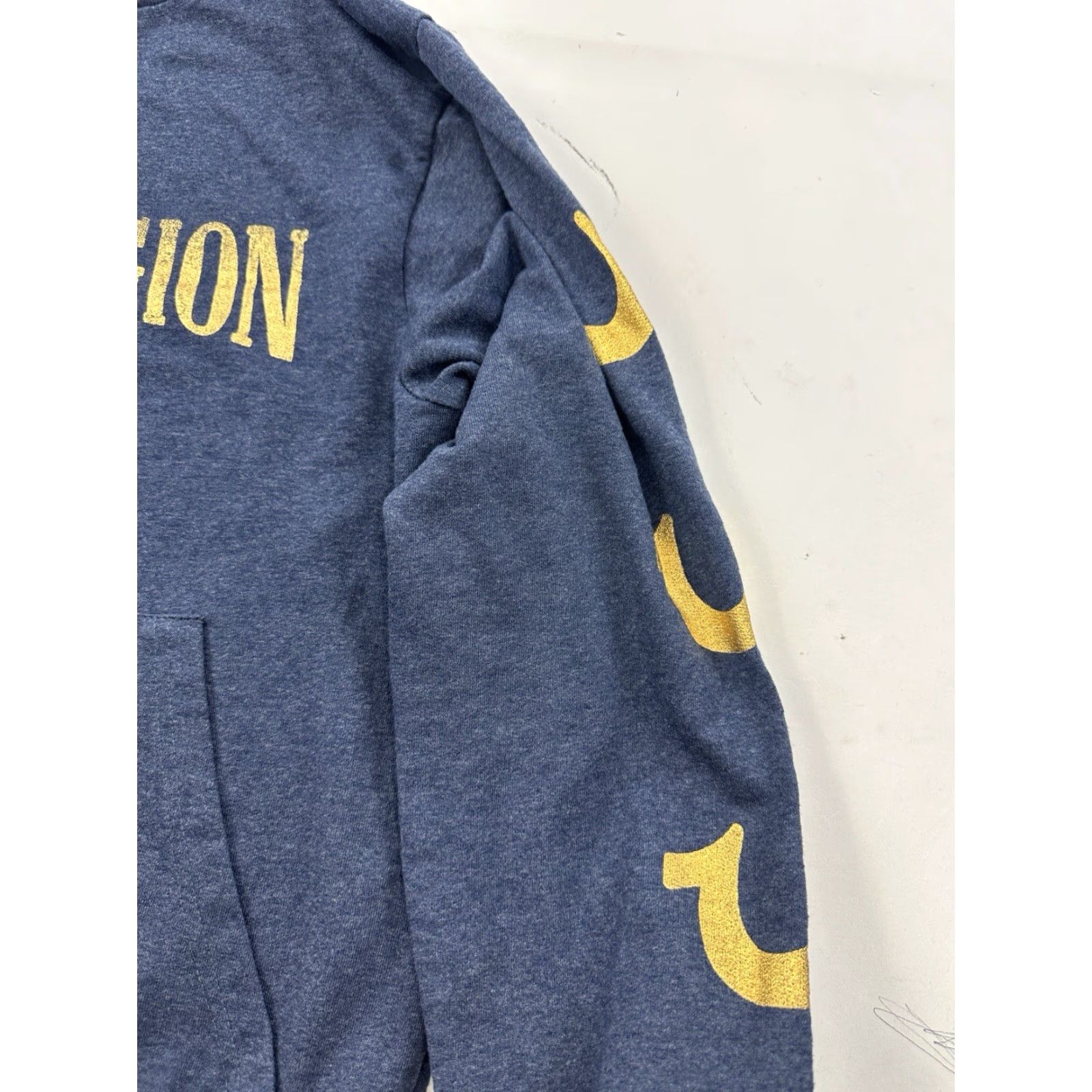 True Religion True Religion Hoodie Sweatshirt Mens L Gray Logo Pullover Long Sleeve Graphic Print All Seasons Modern Designer Activewear Size US L / EU 52-54 / 3 - 4 Thumbnail