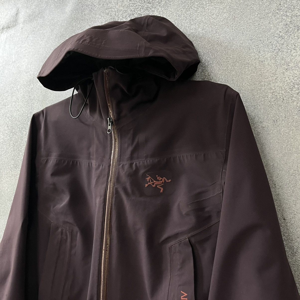 Arc'teryx Arcteryx Stinger Gore Tex Jacket Recco Size US XS / EU 42 / 0 - 2 Thumbnail