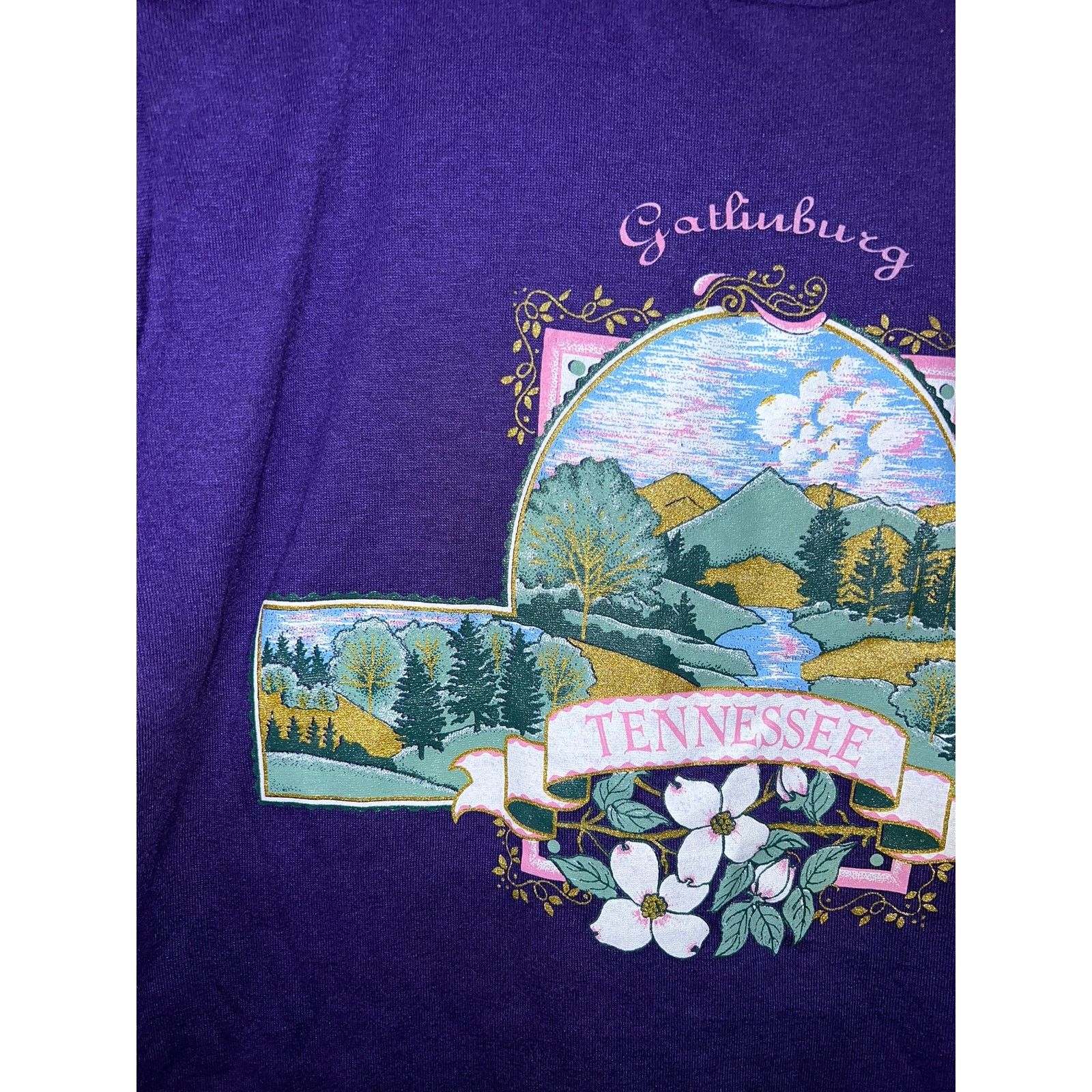 Jerzees Vintage Tennessee Shirt Gatlinburg Purple Graphic Tee 90s S Size US S / EU 44-46 / 1 - 3 Thumbnail
