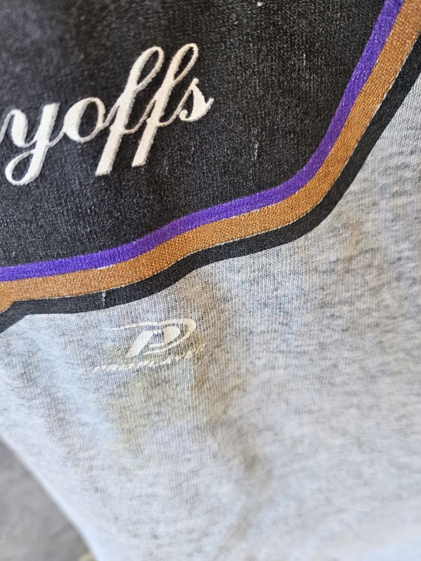 Pro Player Arizona Diamondbacks Western Division Champions Pro Player Size US M / EU 48-50 / 2 - 4 Thumbnail