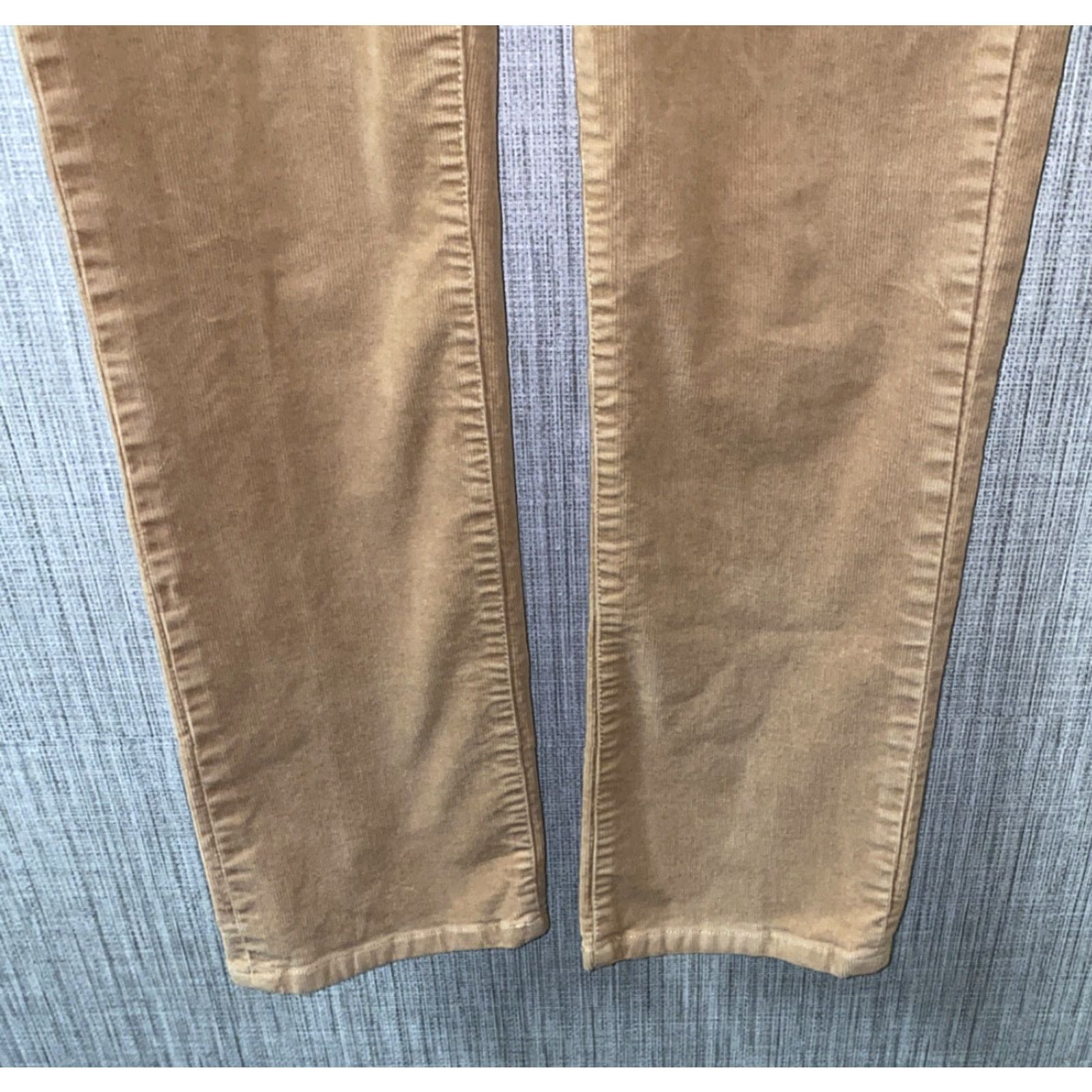 Patagonia Patagonia Womens Pants Zip Fly Brown Organic Cotton 33 Inseam 31 Regular Size 33 Casual Womens Size 24" / US 00 / IT 34 - 4 Thumbnail