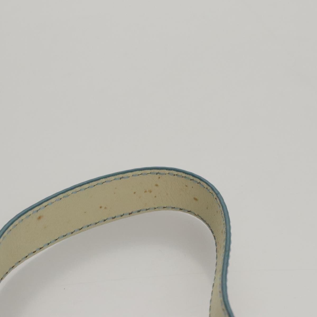 Celine CELINE C Macadam Canvas Shoulder Bag Light Blue Size ONE SIZE - 8 Thumbnail