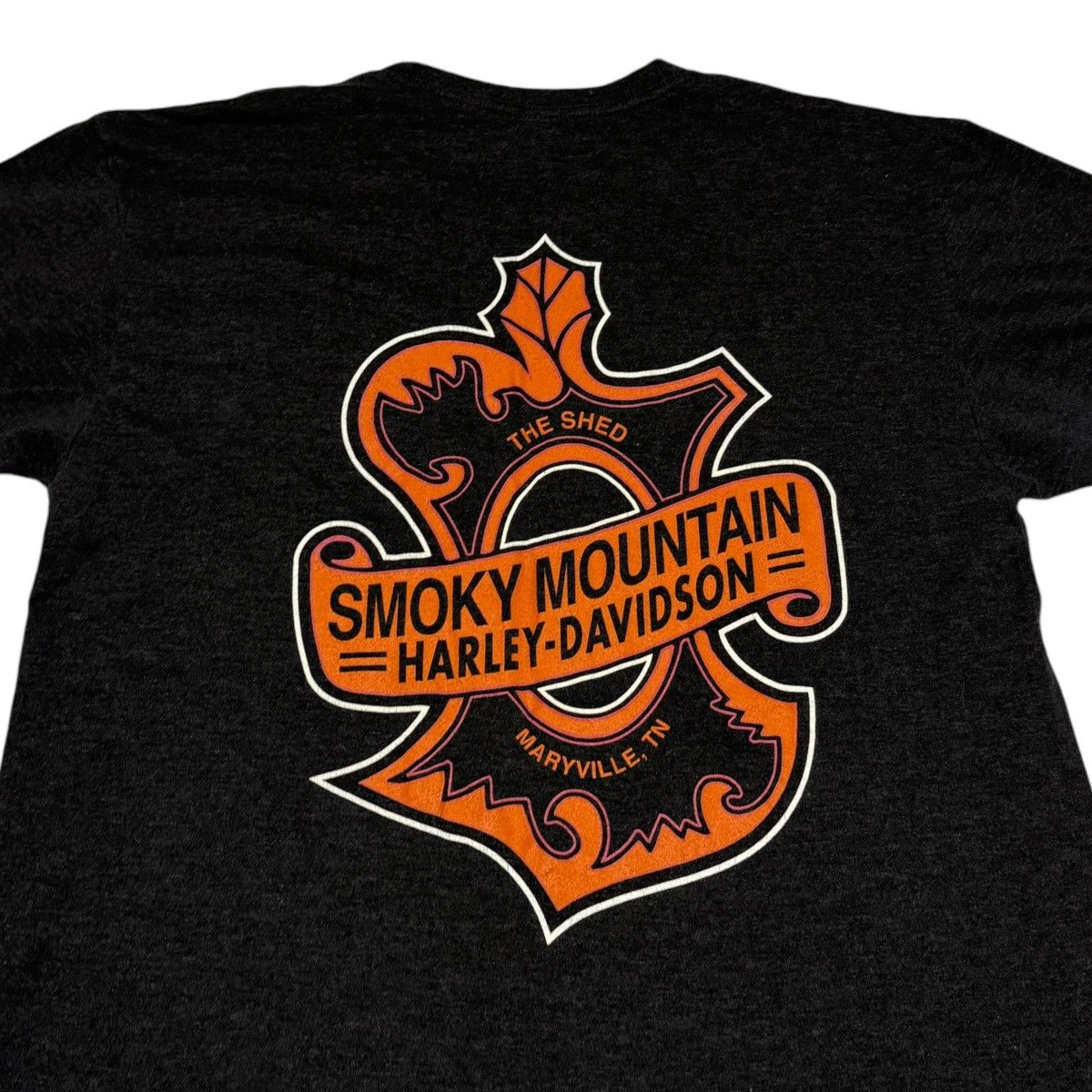 Smokey mountain harley on sale