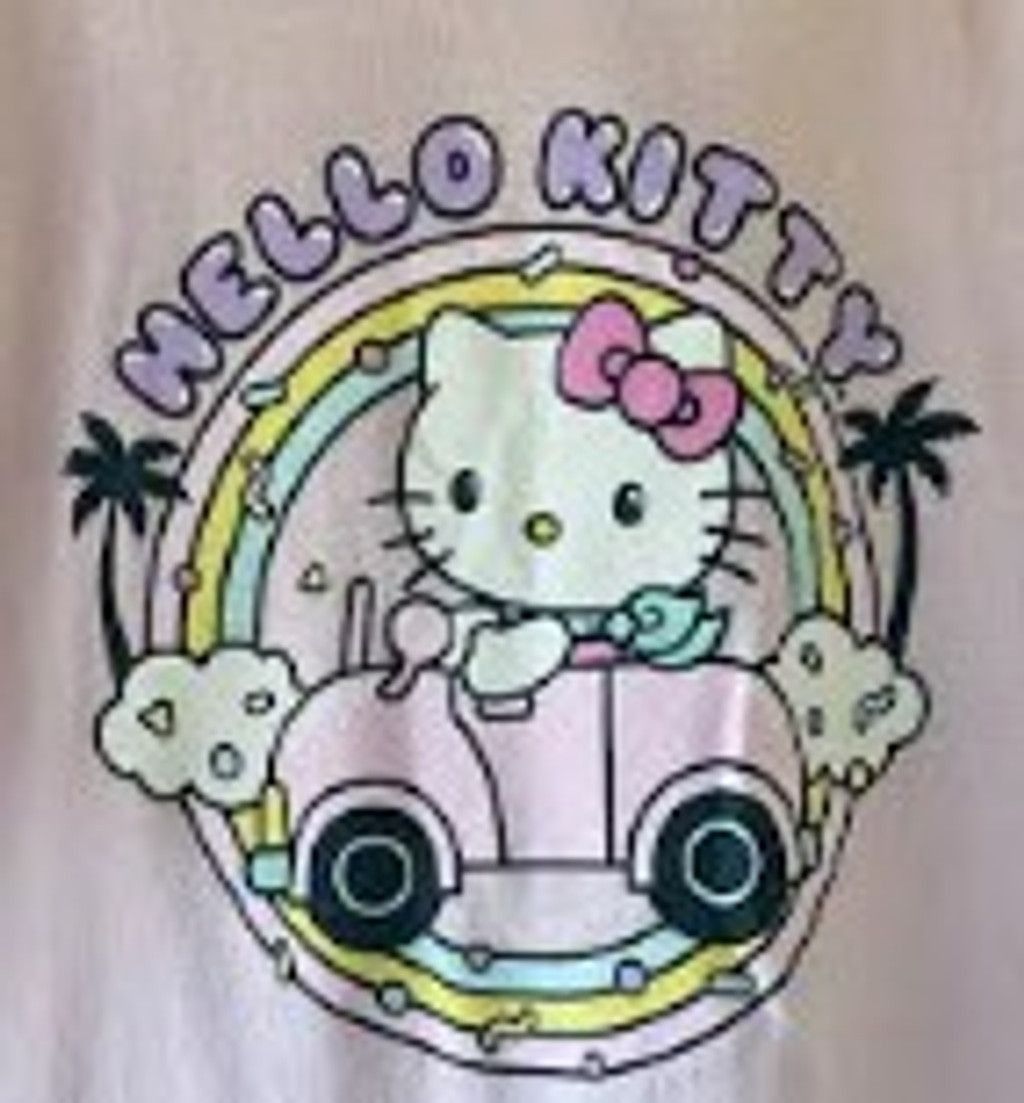 Other Hello Kitty Pink Living The Dream T Shirt Adult LG Size L / US 10 / IT 46 - 2 Thumbnail