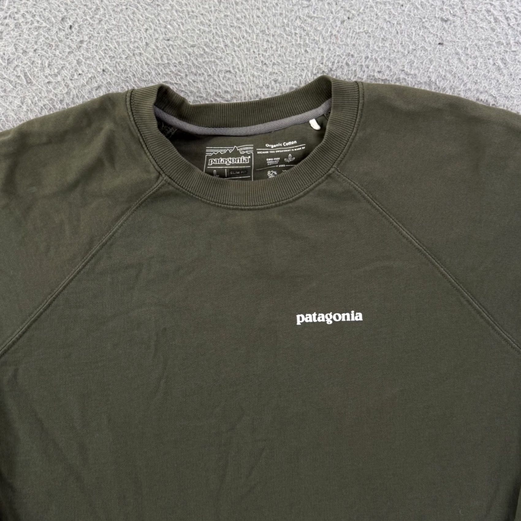 Patagonia Patagonia Shirt Mens Large Green Nature Hiking Slim Fit Long Sleeve Outdoor Shirt Size US L / EU 52-54 / 3 - 3 Thumbnail