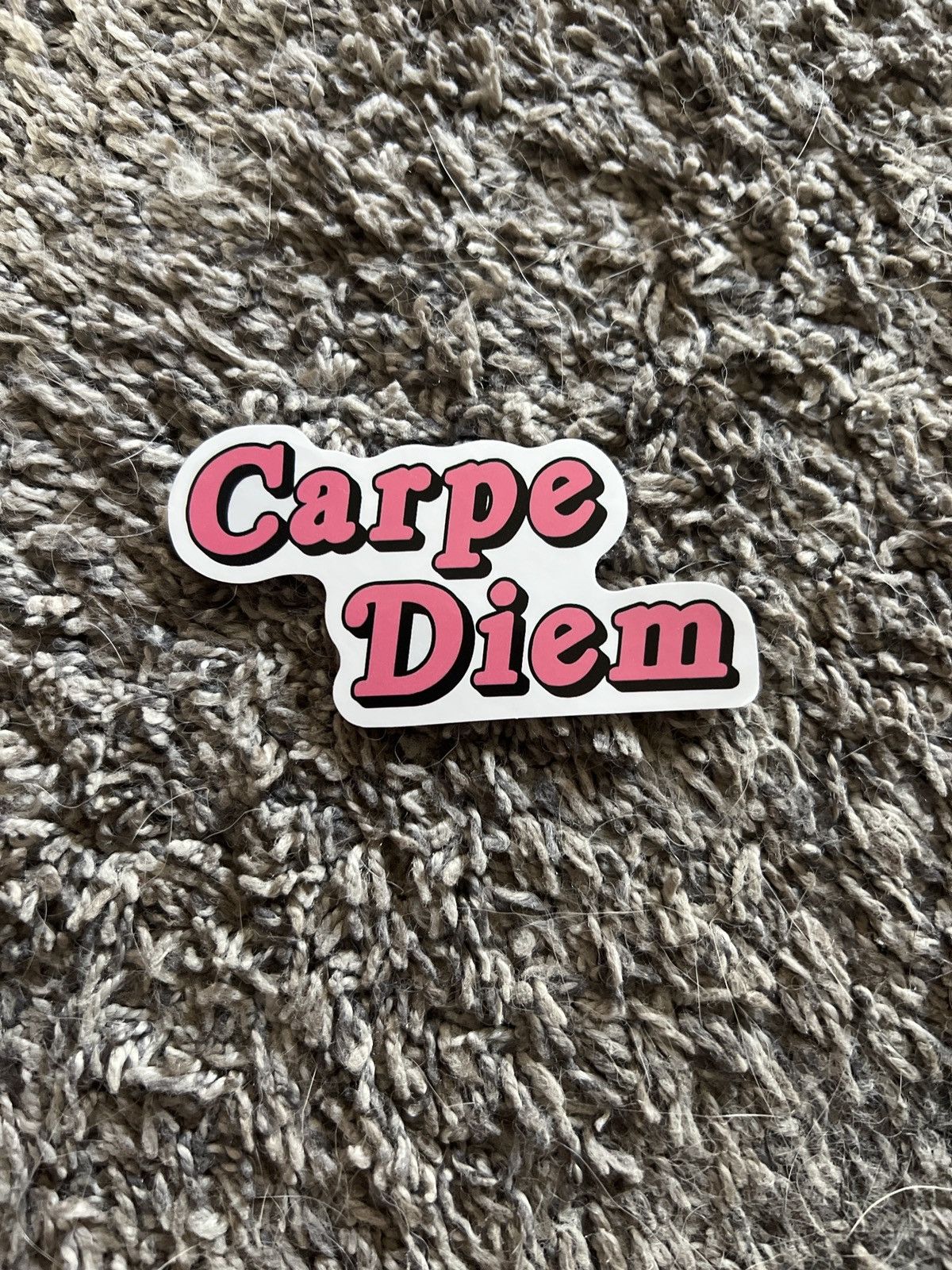Carpe Diem Carpe Diem Sticker Size ONE SIZE - 1 Thumbnail