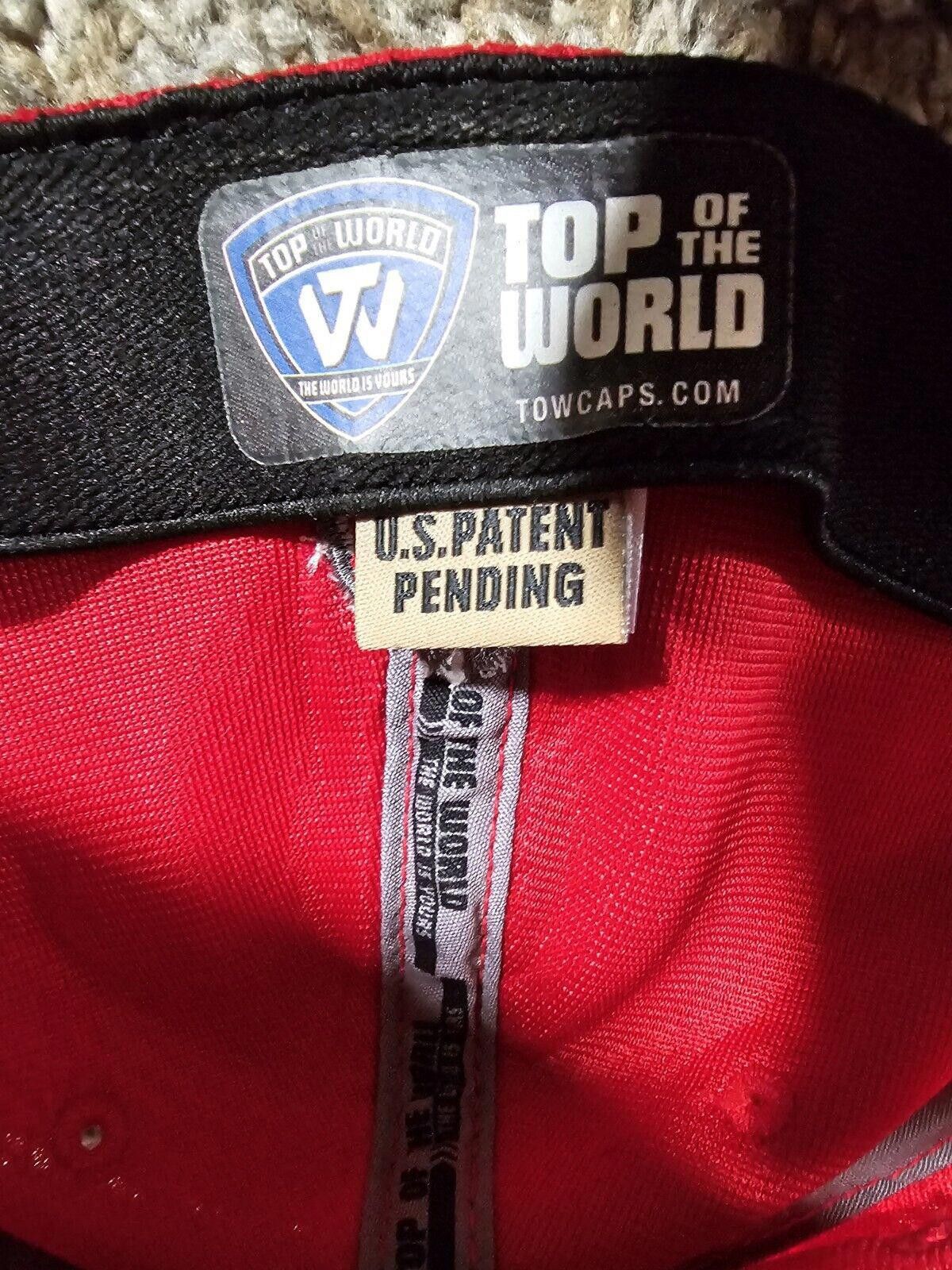 Top Of The World NIU Northern Illinois Huskies Hat Memory Top Of World OSFA Size ONE SIZE - 12 Thumbnail