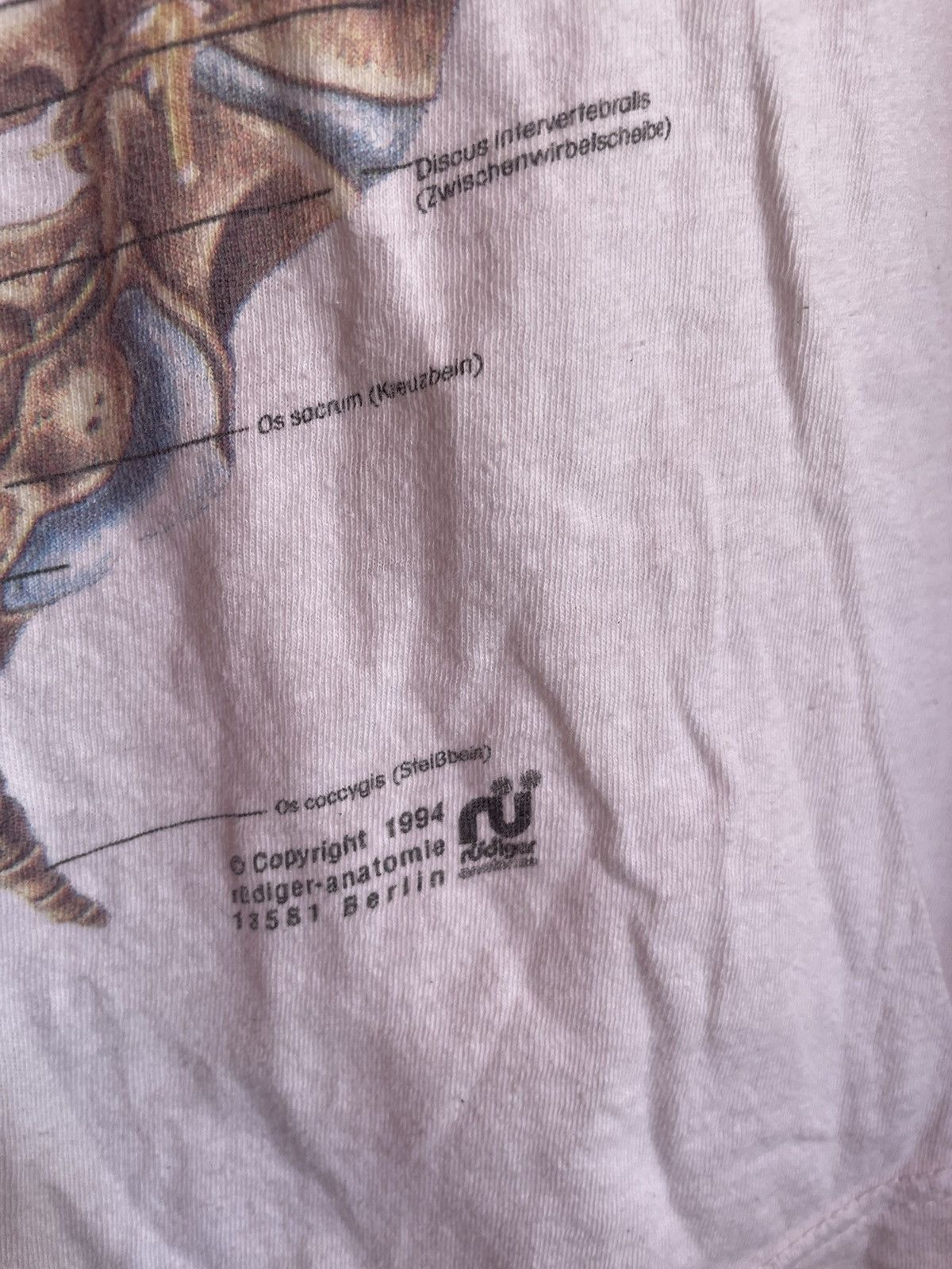 Arts & Science × Band Tees × Vintage Skeleton Anatomy Rudiger 1994 Spinal Collum Science T Shirt Size US L / EU 52-54 / 3 - 8 Thumbnail