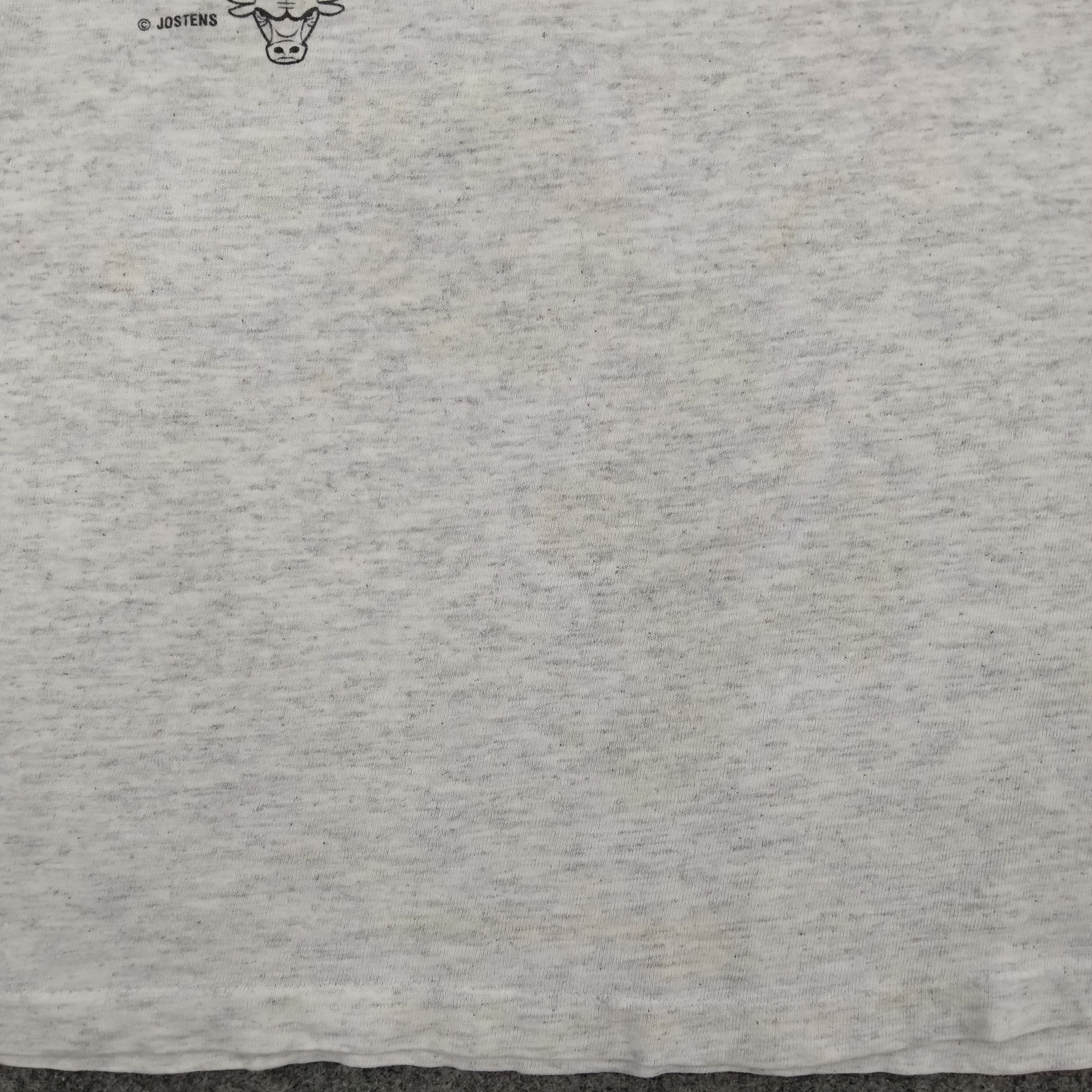 NBA Vintage Chicago Bulls Large Tshirt - G082 Size US L / EU 52-54 / 3 - 9 Thumbnail