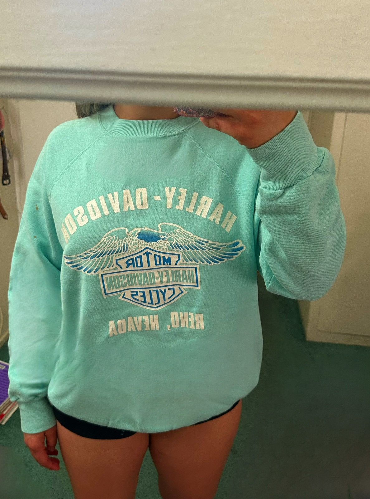 Harley Davidson Harley Davidson Sweatshirt in Blue Size US XL / EU 56 / 4 - 5 Thumbnail
