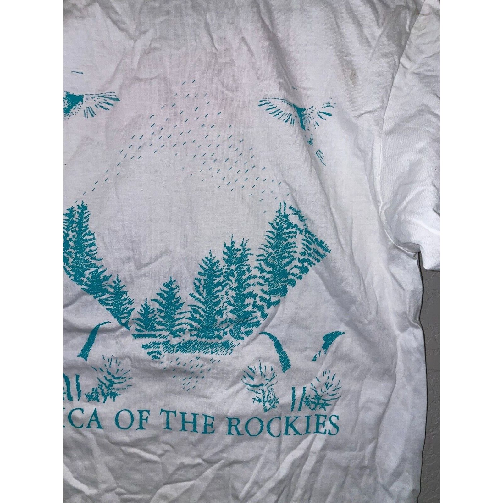 Jerzees Vintage Test Print Shirt YMCA Rockies Whale Tail Tee Summer Size US M / EU 48-50 / 2 - 12 Thumbnail