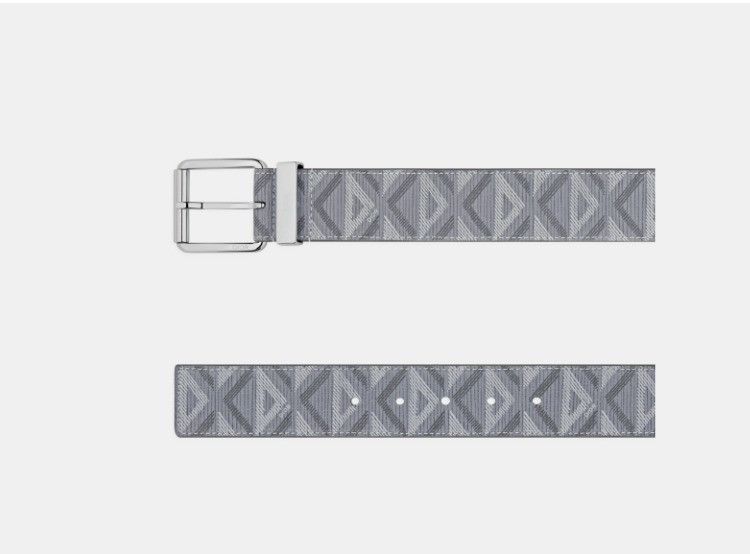 Dior o1w1db10425 4423PLC Size: OS / Belt in Grey Size ONE SIZE - 2 Thumbnail