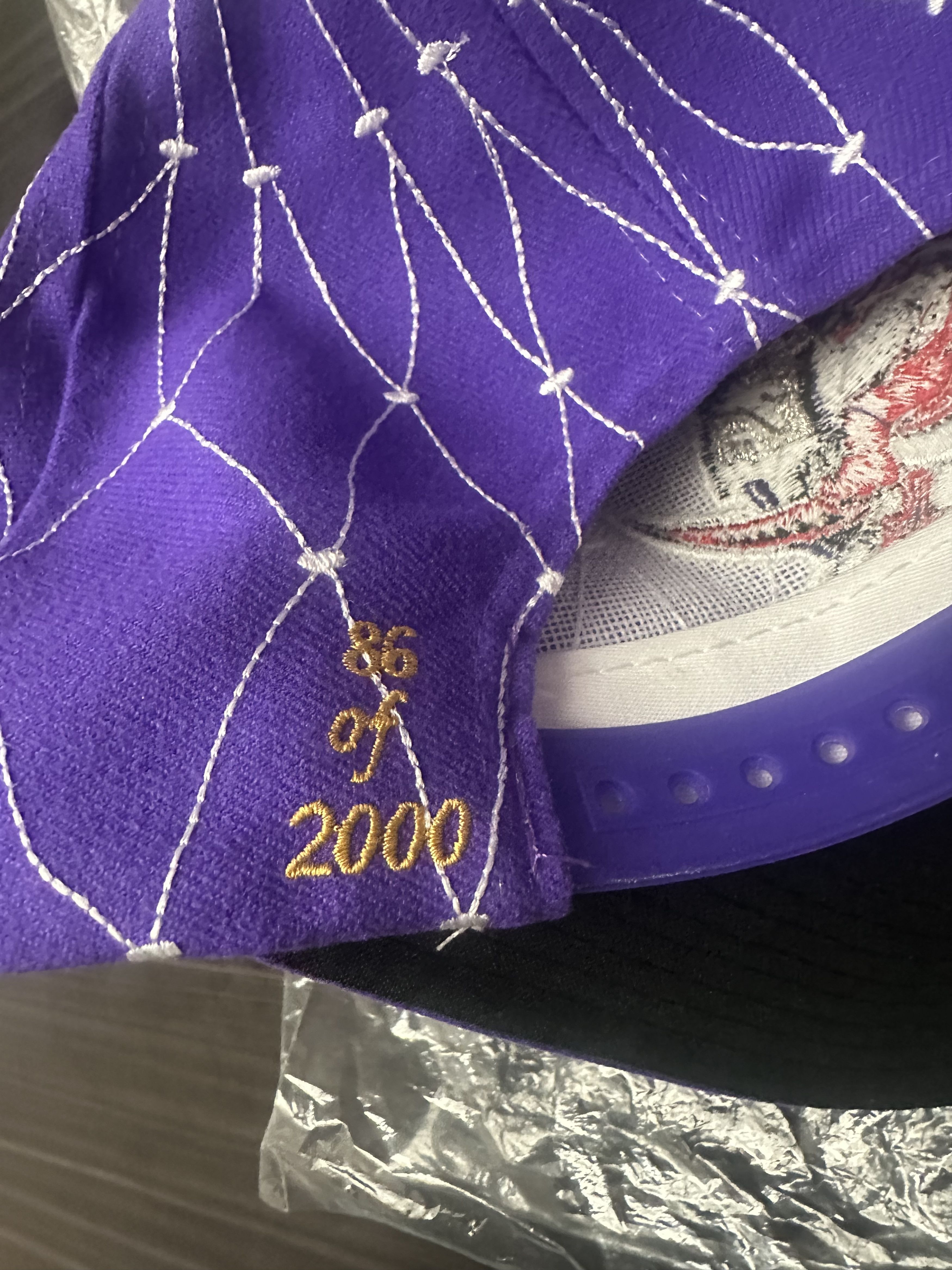 The Game 1995 Raptors SnapBack numbered 86 of 2000 Size ONE SIZE - 2 Thumbnail