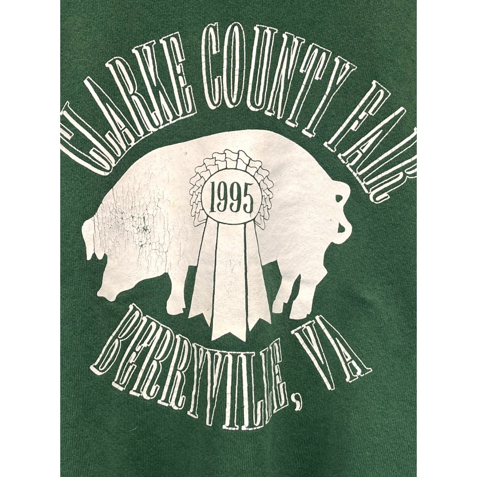 Hanes VINTAGE Hanes Activewear Sweatshirt XL Green Unisex Adults Pullover 1995 Clarke County Berryville VA pig Mens/Womens Size US XL / EU 56 / 4 - 3 Thumbnail