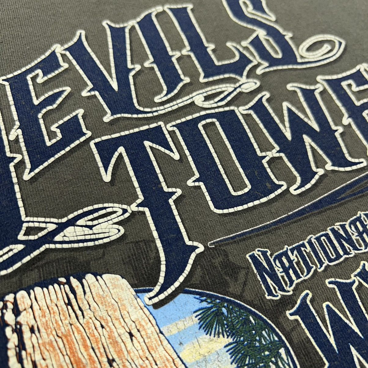 Delta Devils Tower Wyoming Tee Shirt Green National Monument Park Size US XL / EU 56 / 4 - 15 Thumbnail