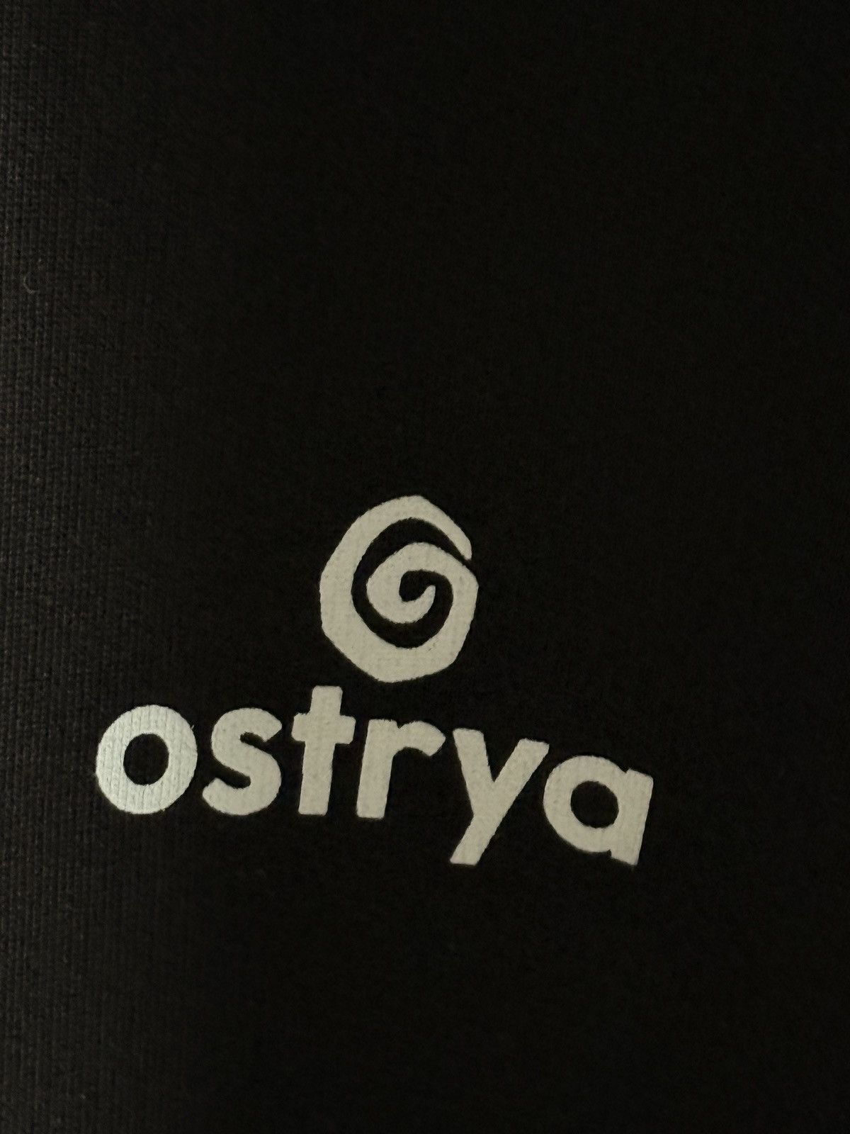 Ostrya Ostrya Core Logo Hoodie Size US M / EU 48-50 / 2 - 5 Thumbnail