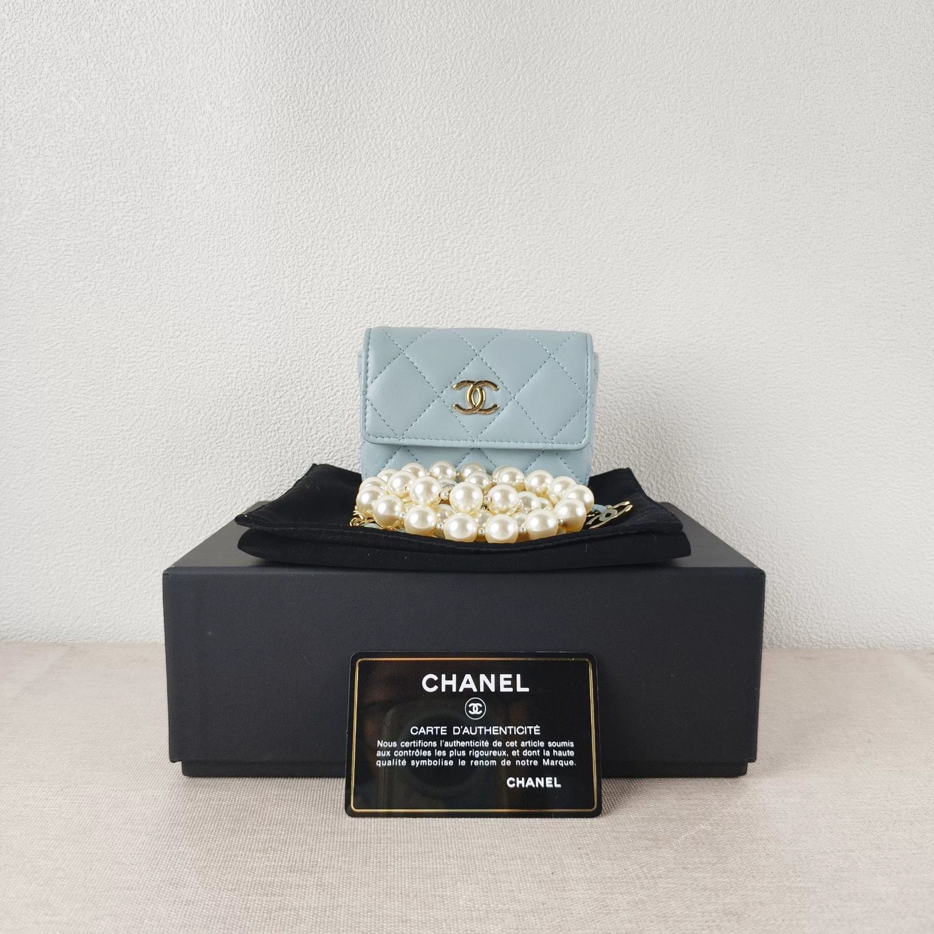 Chanel Pre-loved Bag Brand new condition Size ONE SIZE - 1 Thumbnail