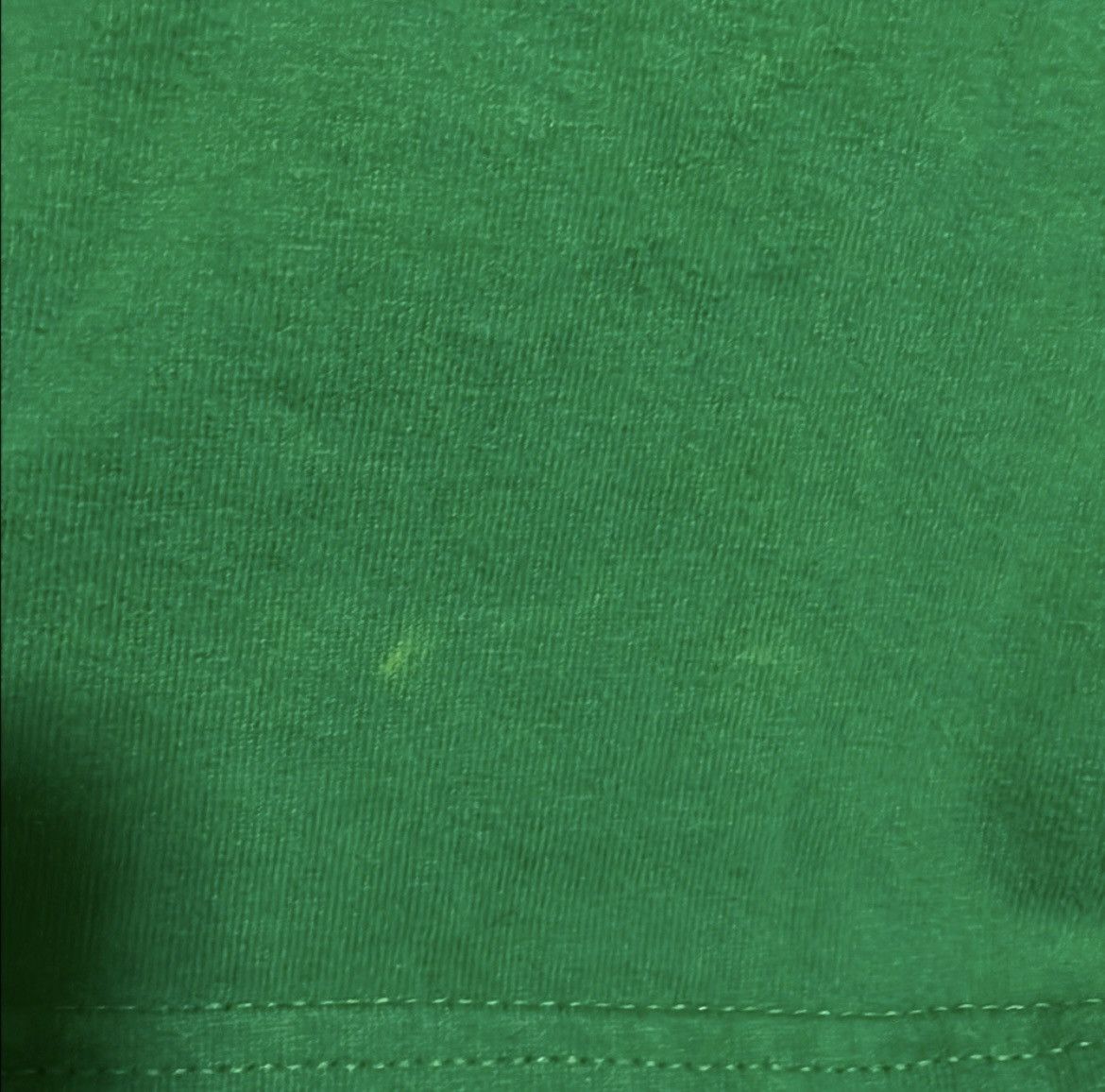 Champion Champion Green T-Shirt Size US M / EU 48-50 / 2 - 4 Thumbnail