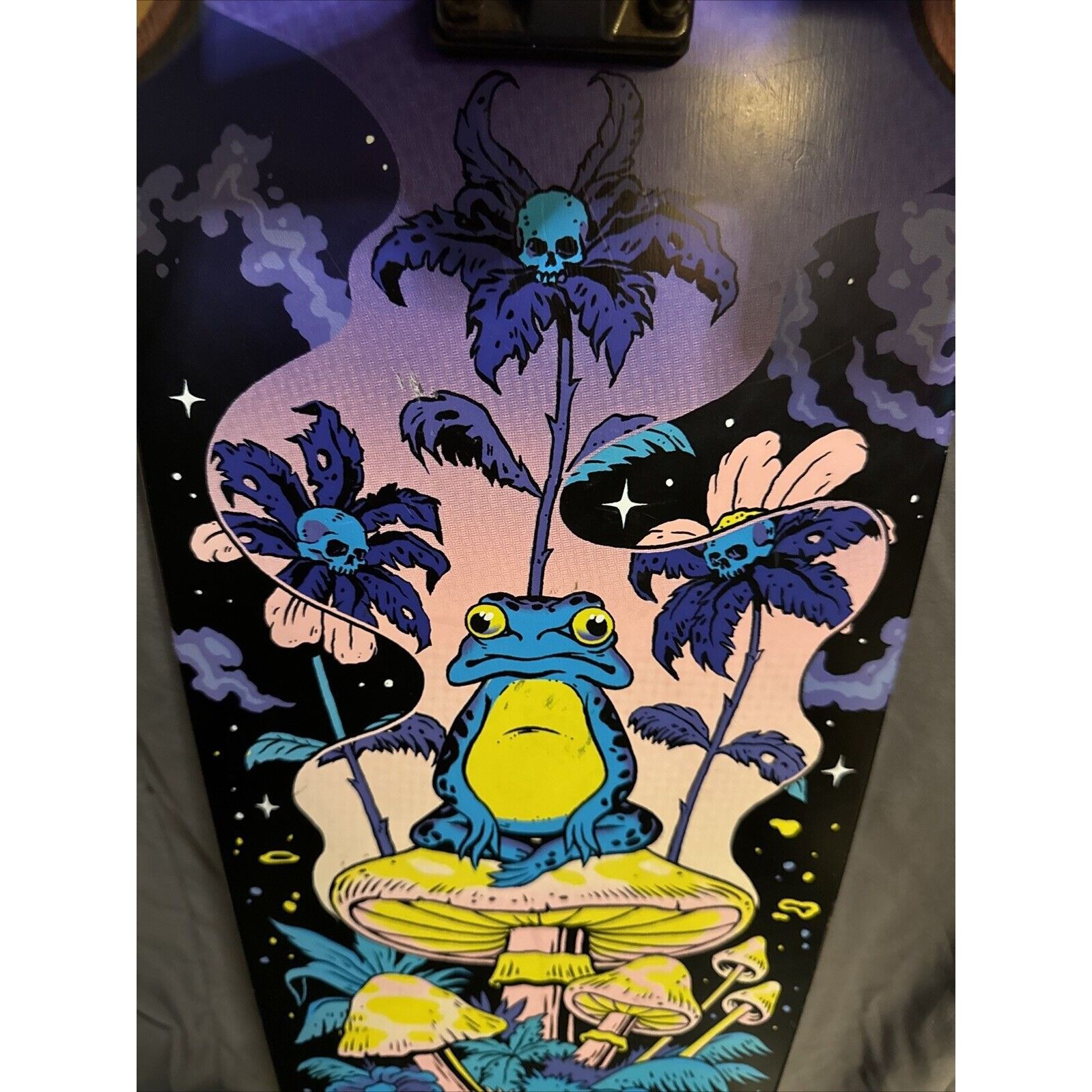 Globe Used Globe Australia Skateboard Skulls Frog Mushrooms Tensor Size ONE SIZE - 8 Thumbnail