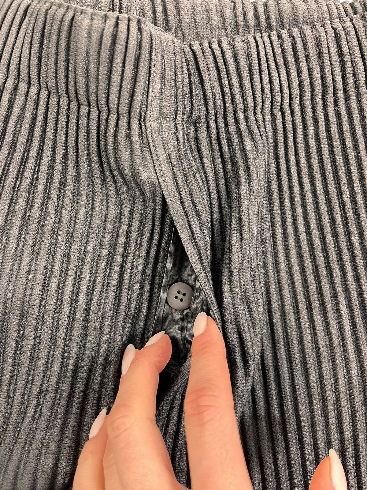 Issey Miyake PLEATED PANTS Size US 32 / EU 48 - 3 Thumbnail