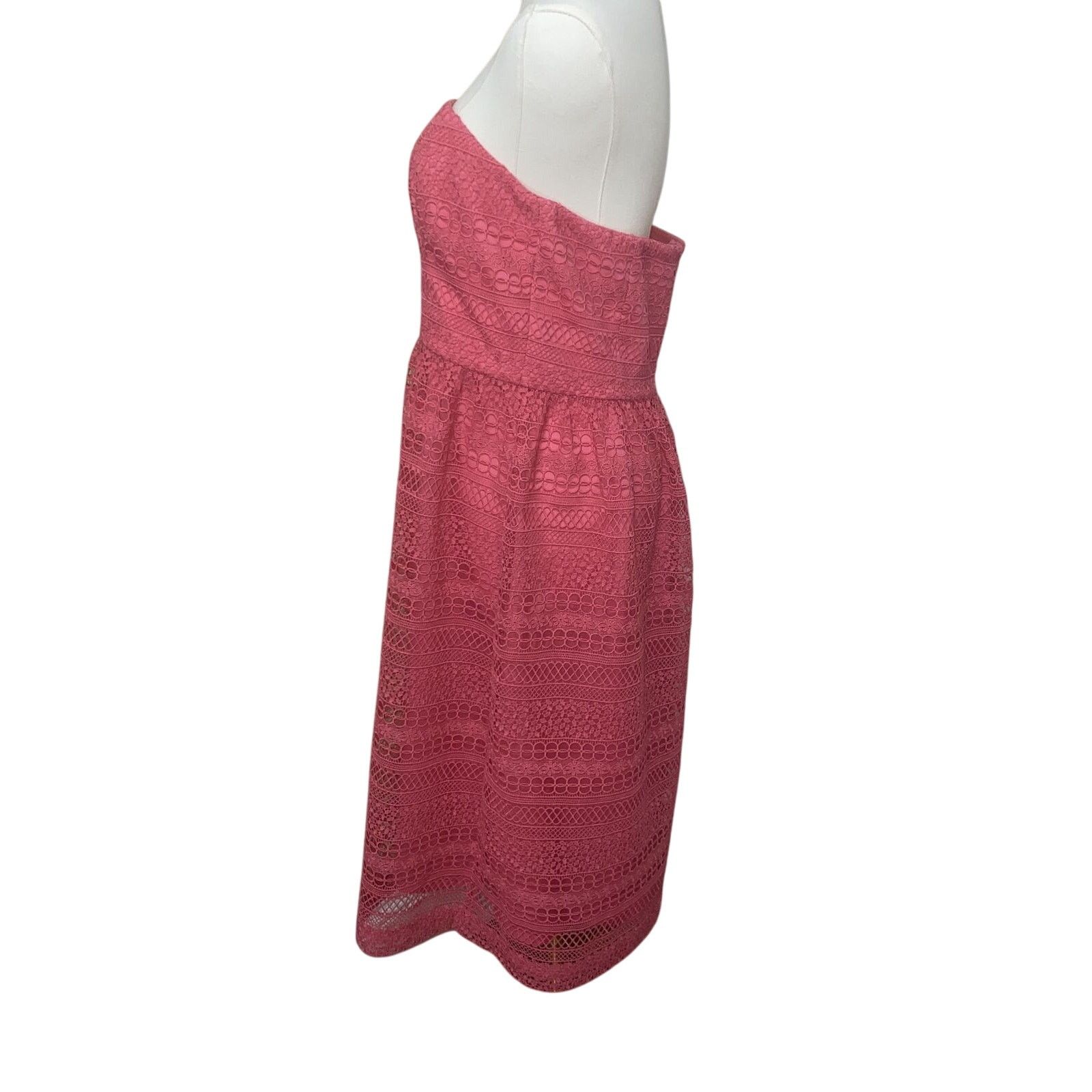 J.Crew J Crew A Line Strapless Lace Party Dress in Pink Sz 10 Size L / US 10 / IT 46 - 3 Thumbnail