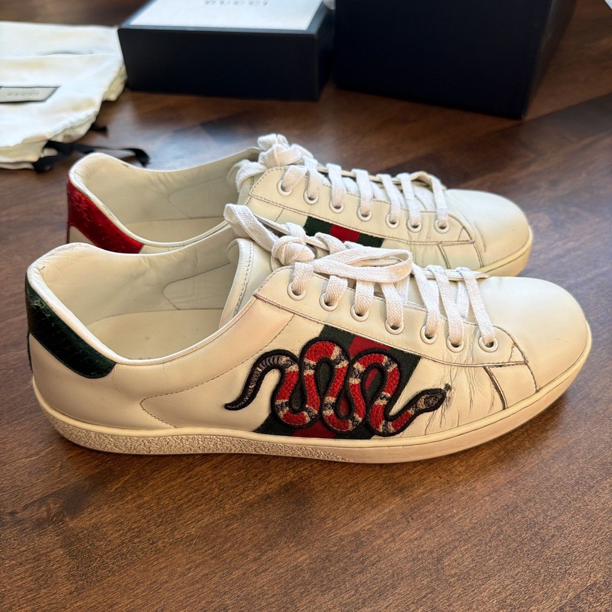 Gucci Gucci Ace Snake Sneaker Size US 10.5 / EU 43-44 - 2 Thumbnail