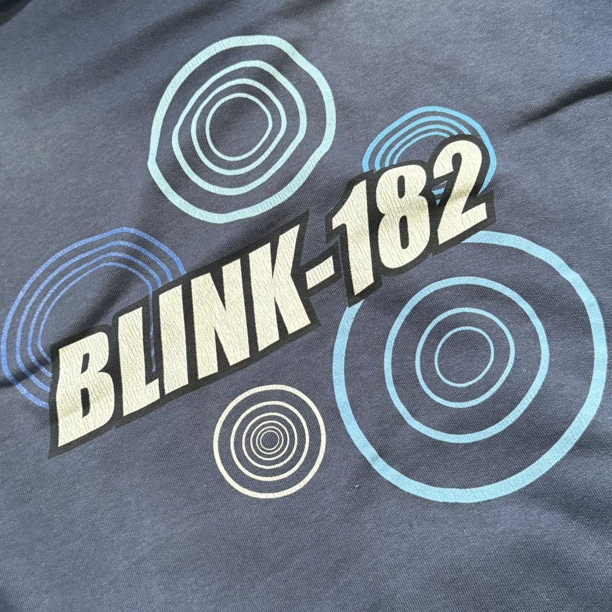 Vintage Vintage hoodie Blink-182 hanes tag Size US L / EU 52-54 / 3 - 4 Thumbnail