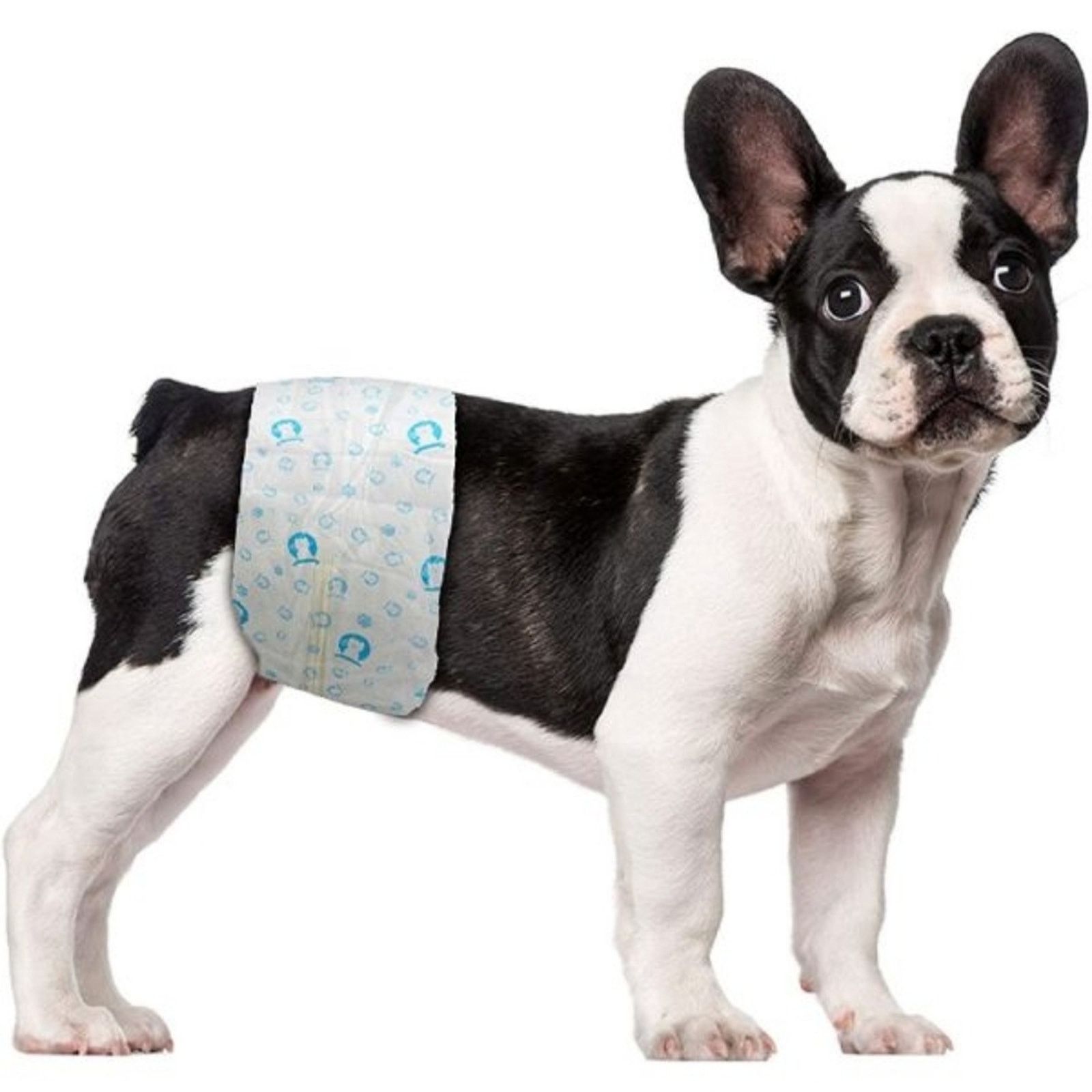Other White | SCRATCHME | Pet Disposable Male Diapers Size ONE SIZE - 4 Thumbnail