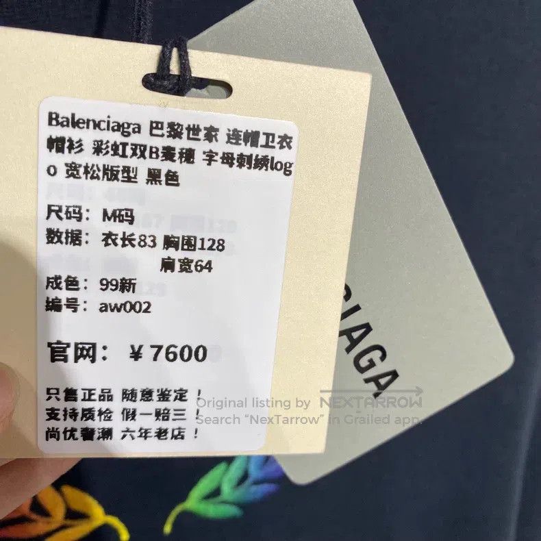 Balenciaga Balenciaga Hooded Sweatshirt with Rainbow Buckwheat Embroi Size US M / EU 48-50 / 2 - 9 Thumbnail