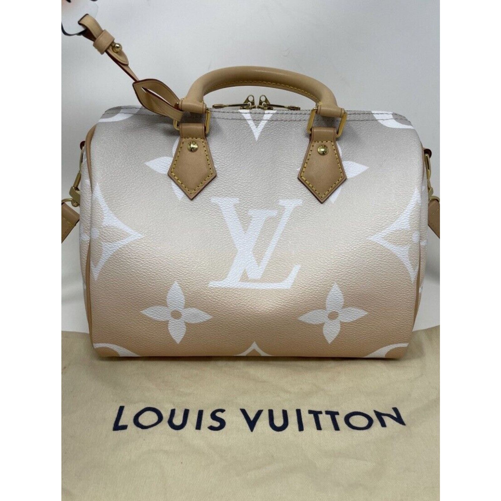 Louis Vuitton Louis Vuitton Speedy 25 Bandouliere By the Pool Mist Color Size ONE SIZE - 2 Thumbnail