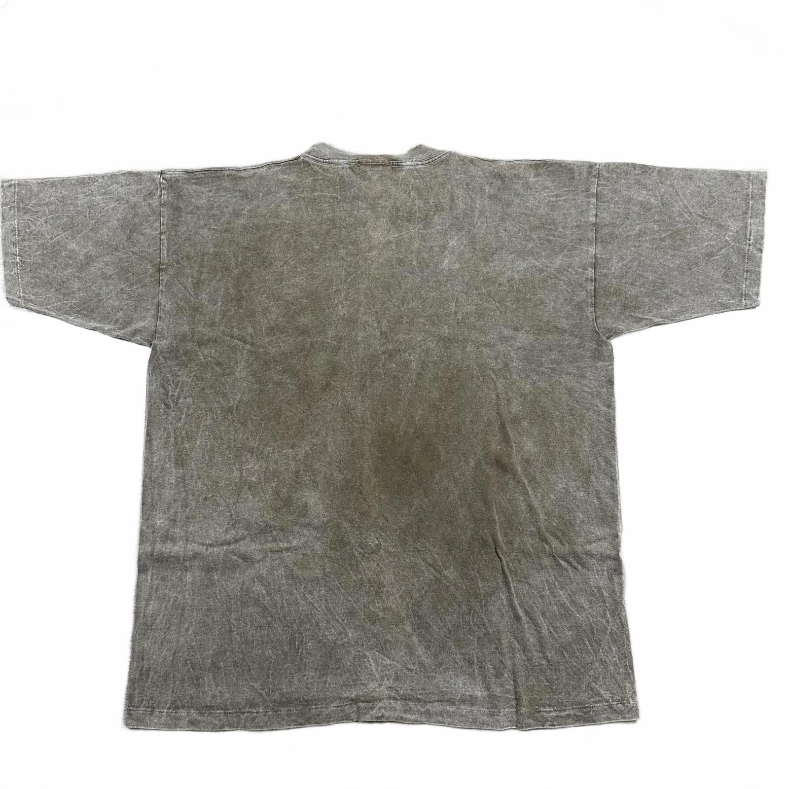 Other Prairie Mountain Mens T-Shirt Large Brown Sedona Graphic Size US L / EU 52-54 / 3 - 2 Thumbnail