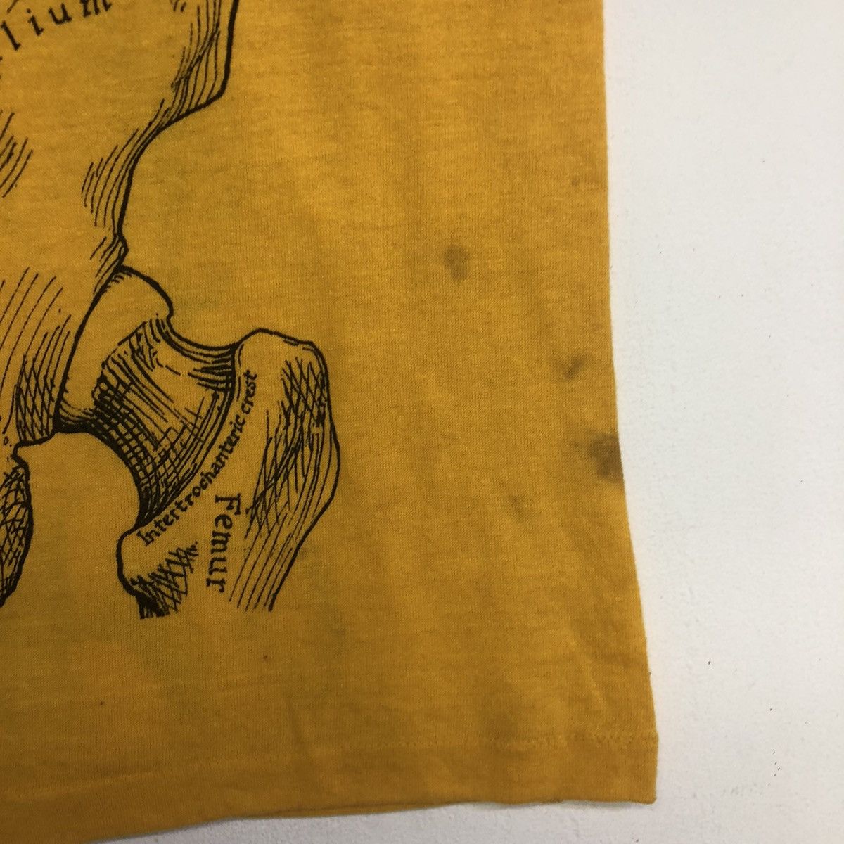 Art Comes First VINTAGE ART LESLIE ARWIN 1978 ANATOMY SKULL BONES TSHIRT Size US L / EU 52-54 / 3 - 14 Thumbnail
