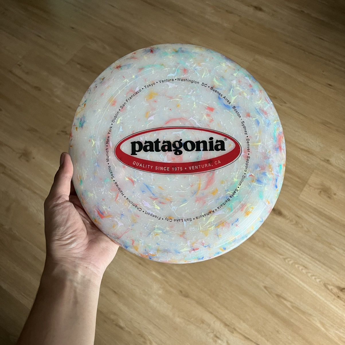 Patagonia Patagonia Frisbee Vintage 90s Size ONE SIZE - 1 Thumbnail
