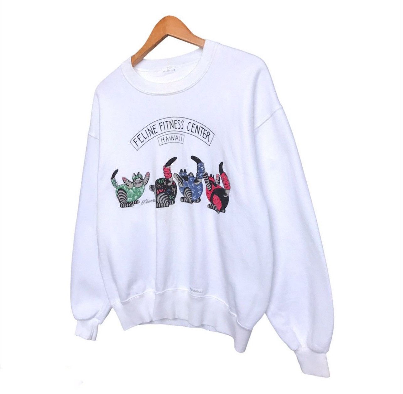 Vintage Vintage Crazy Shirt Bkliban Hawaii Feline Sweatshirt Baggy Size US S / EU 44-46 / 1 - 3 Thumbnail