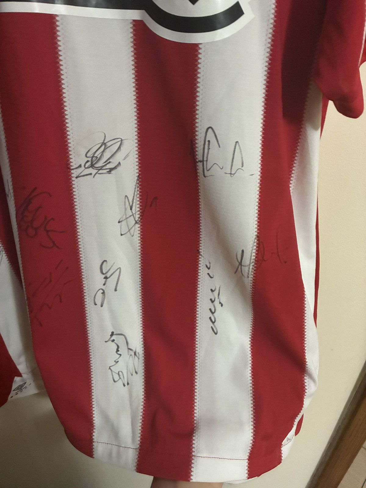 Umbro Sunderland AFC 2010-12 Home Jersey – Multi-Signed – Umbro Size US L / EU 52-54 / 3 - 8 Thumbnail