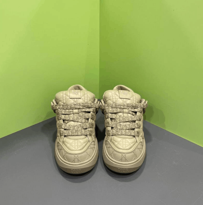 Dior Dior low-top fashion sneakers Size US 8 / EU 41 - 2 Thumbnail