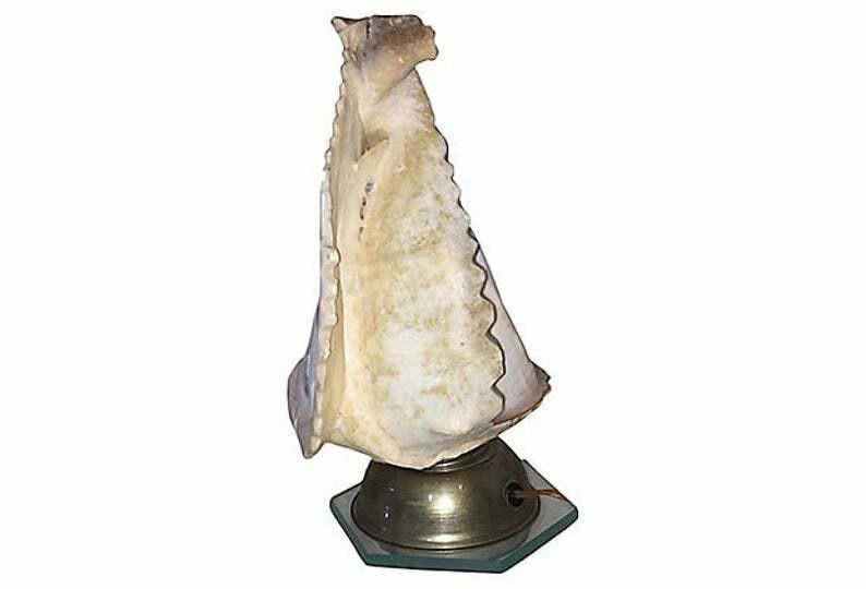 Designer Napoli Conch Souvenir Lamp Size ONE SIZE - 3 Thumbnail
