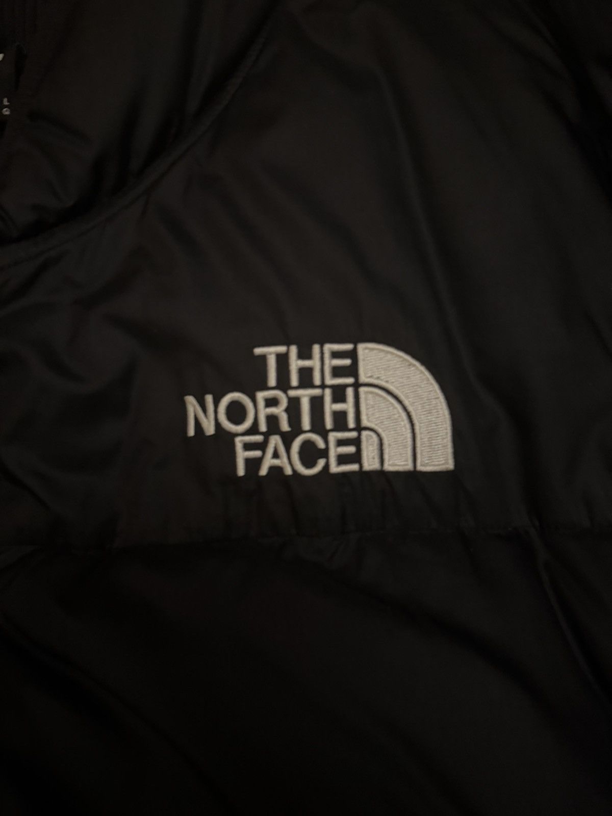 The North Face North Face Puffer Jacket Size US L / EU 52-54 / 3 - 4 Thumbnail