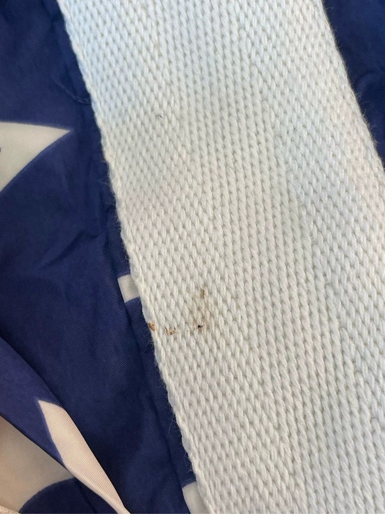 Louis Vuitton Louis Vuitton Bermuda shorts with blue and white presbyopia Size US 38 / EU 54 - 9 Thumbnail