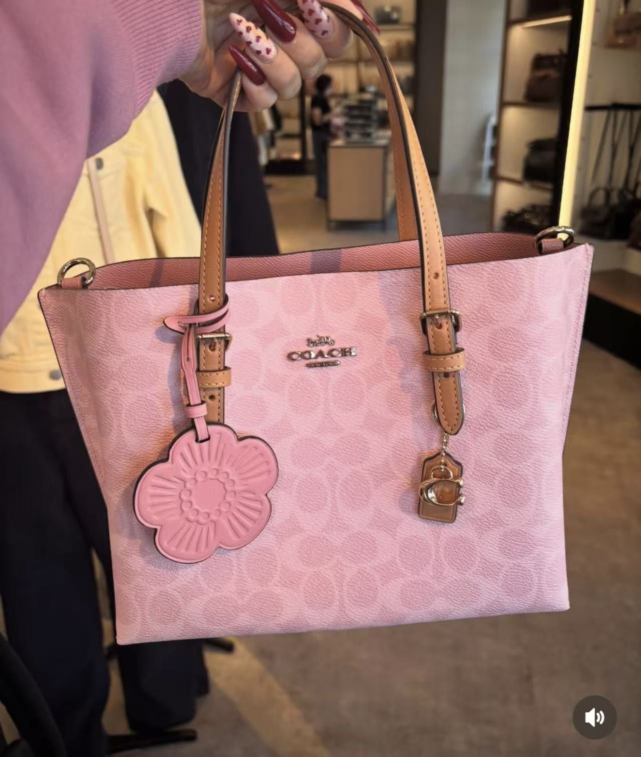 Coach Mollie Tote Bag 25 In Signature Canvas With Charms CER24 Size ONE SIZE - 6 Thumbnail