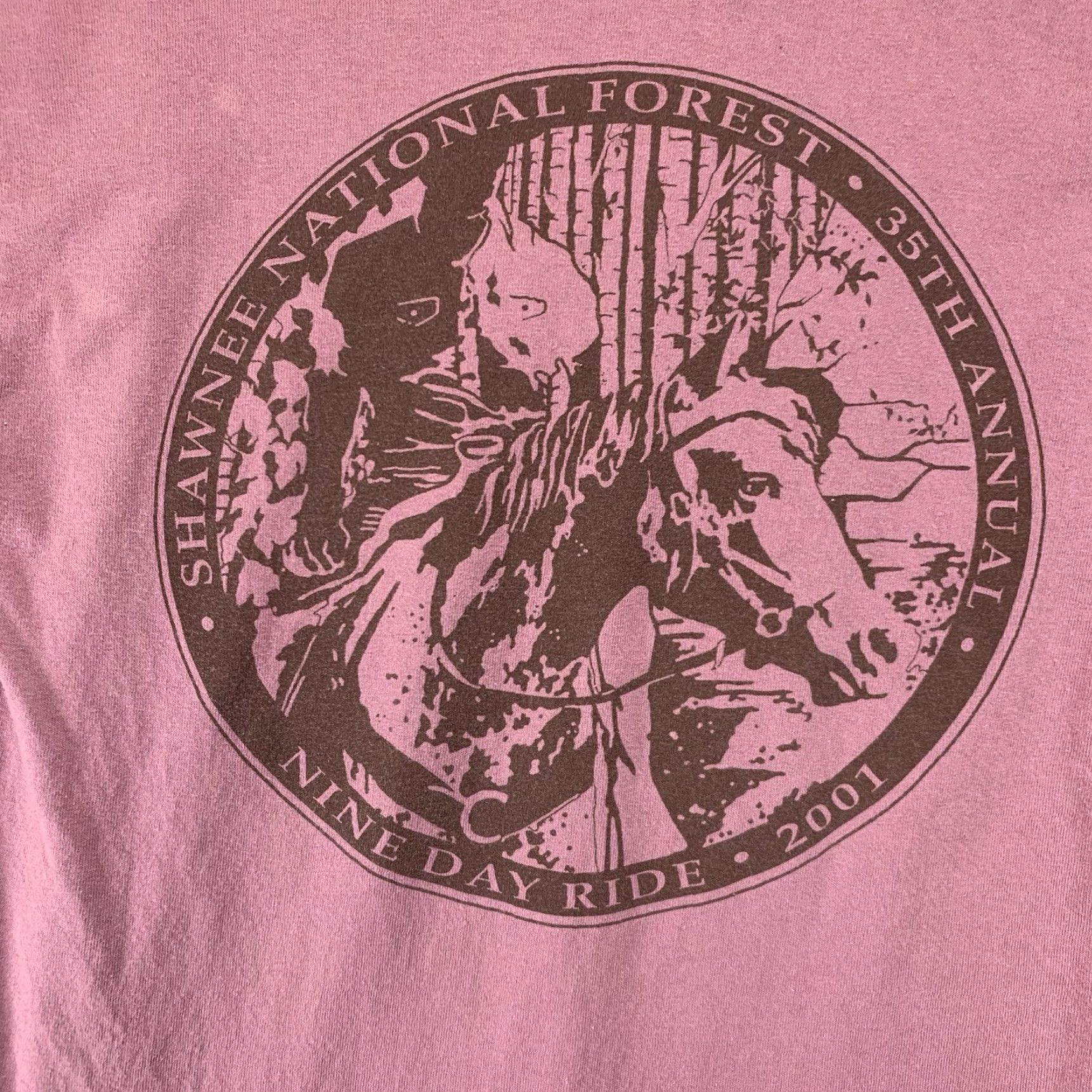 Anvil VINTAGE Anvil Horseback T-Shirt Graphic Print Red Medium 2001 Shawnee National Forest Nature Unisex Size US M / EU 48-50 / 2 - 2 Thumbnail