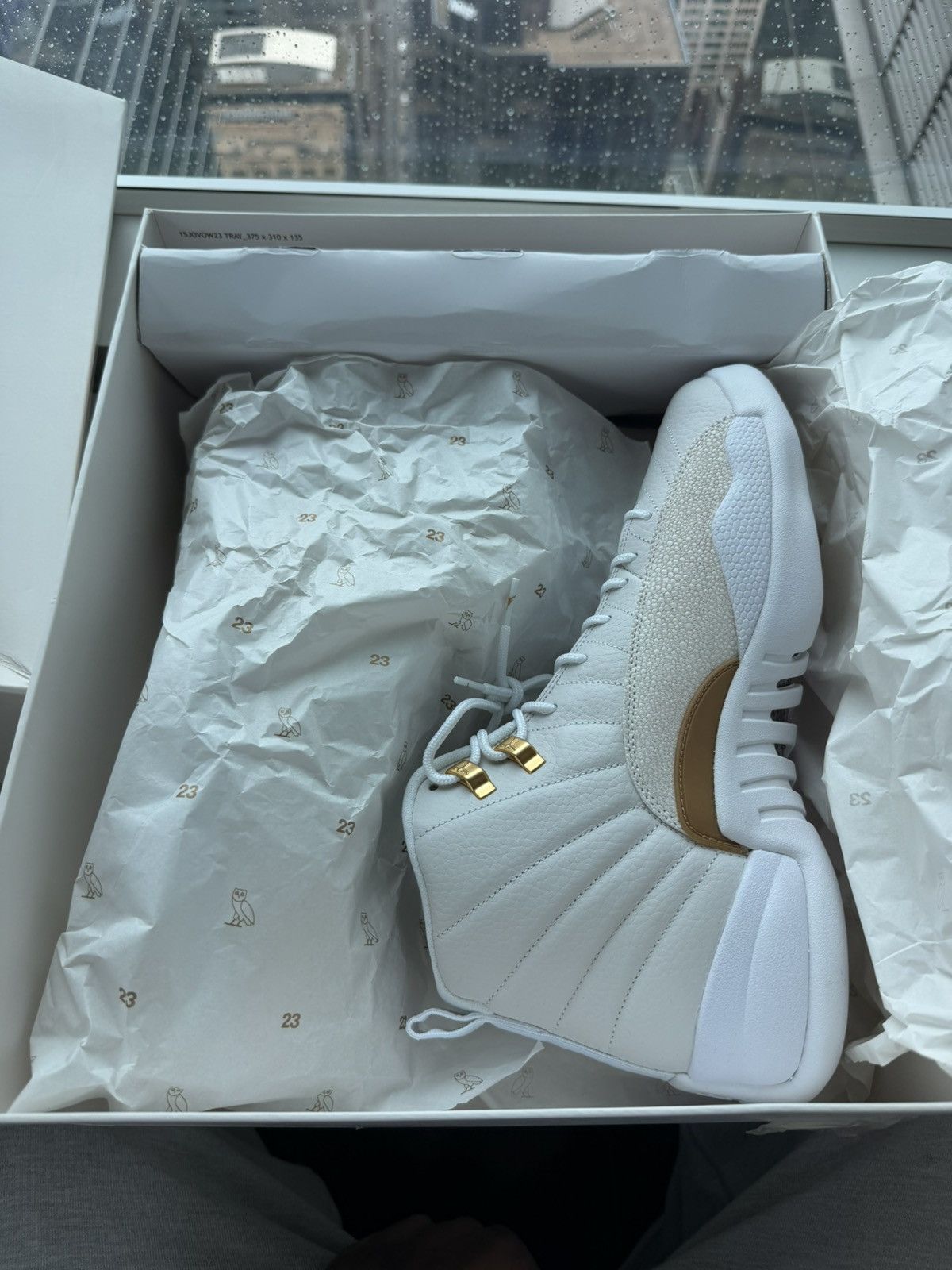 Jordan Brand × October's Very Own 2017 OVO Air Jordan XII (12) Size US 11 / EU 44 - 11 Thumbnail