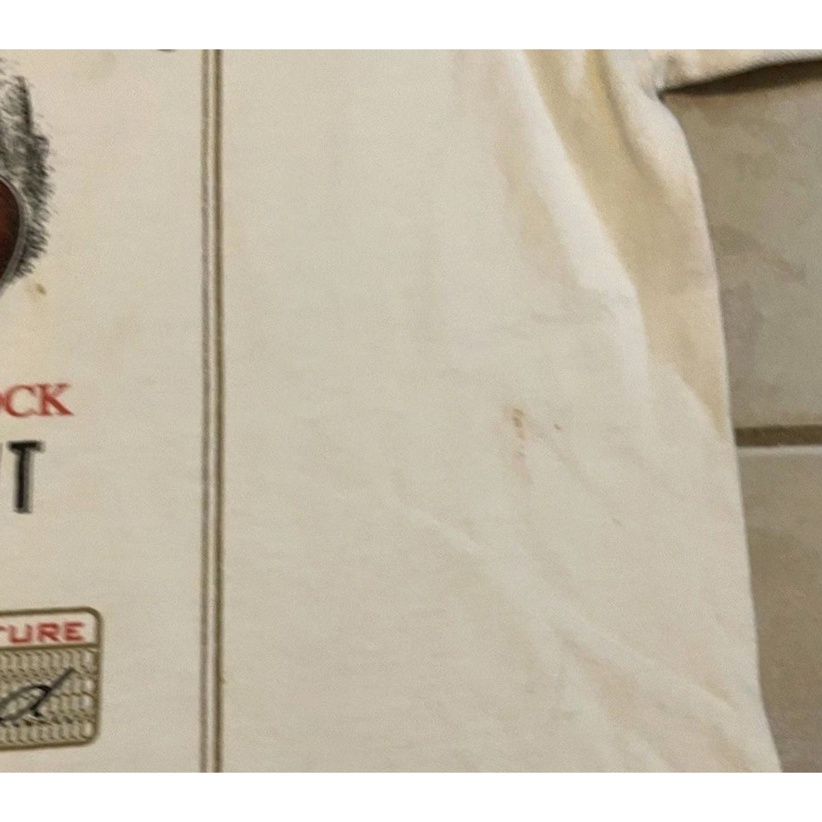 Vintage VINTAGE Lynyrd Skynyrd Faded Distress Jim Beam Shirt M Concert Band 90s Y2K Mens T-Shirt White Graphic Tee Size US M / EU 48-50 / 2 - 6 Thumbnail
