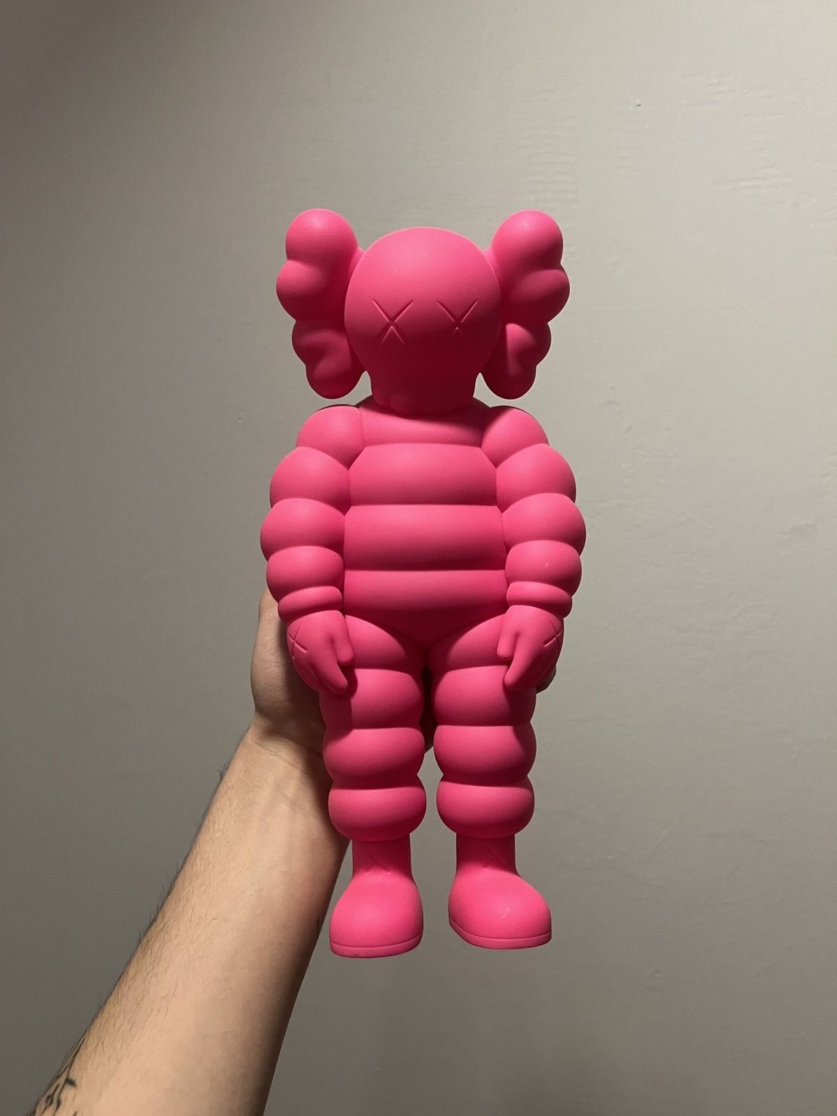 Kaws Kaws What Party Pink Size ONE SIZE - 2 Thumbnail
