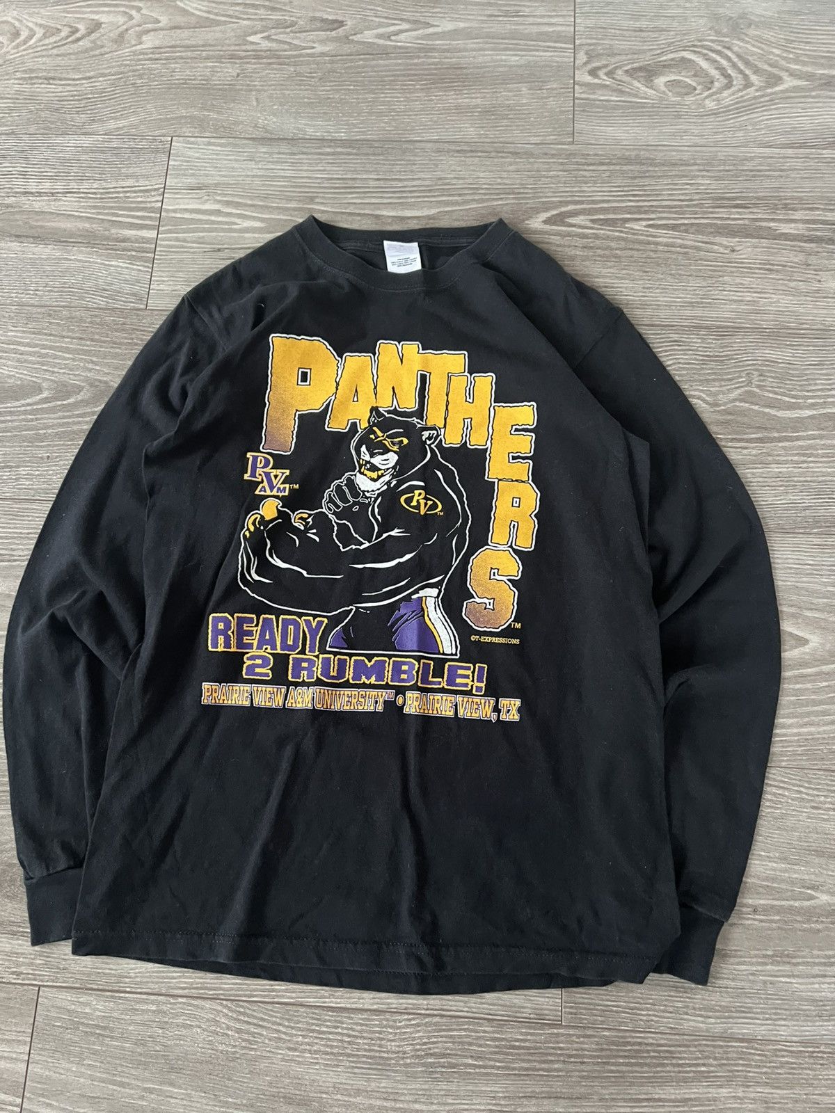 Band Tees × Vintage ‼️Panthers by Anvil Big Logo Print Long Sleeve Size US L / EU 52-54 / 3 - 11 Thumbnail