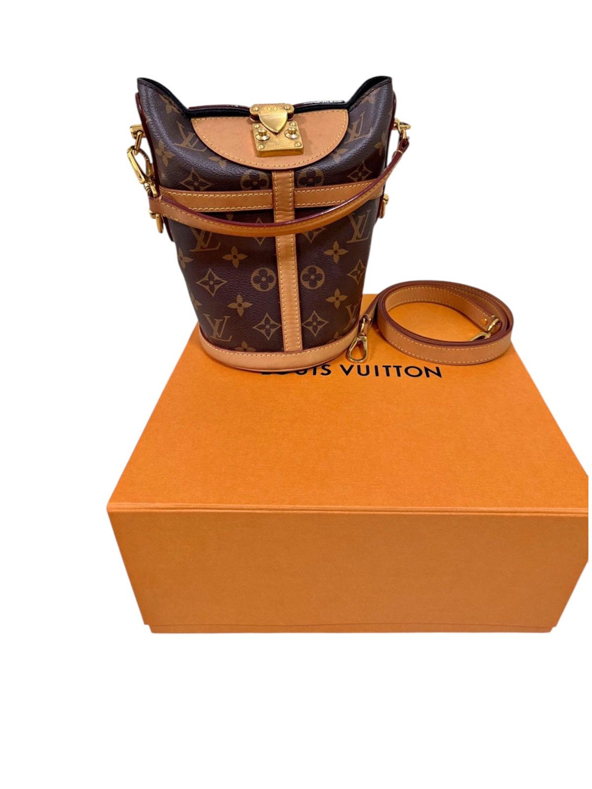 Louis Vuitton Monogram Bucket Duffle handbag Year 2022