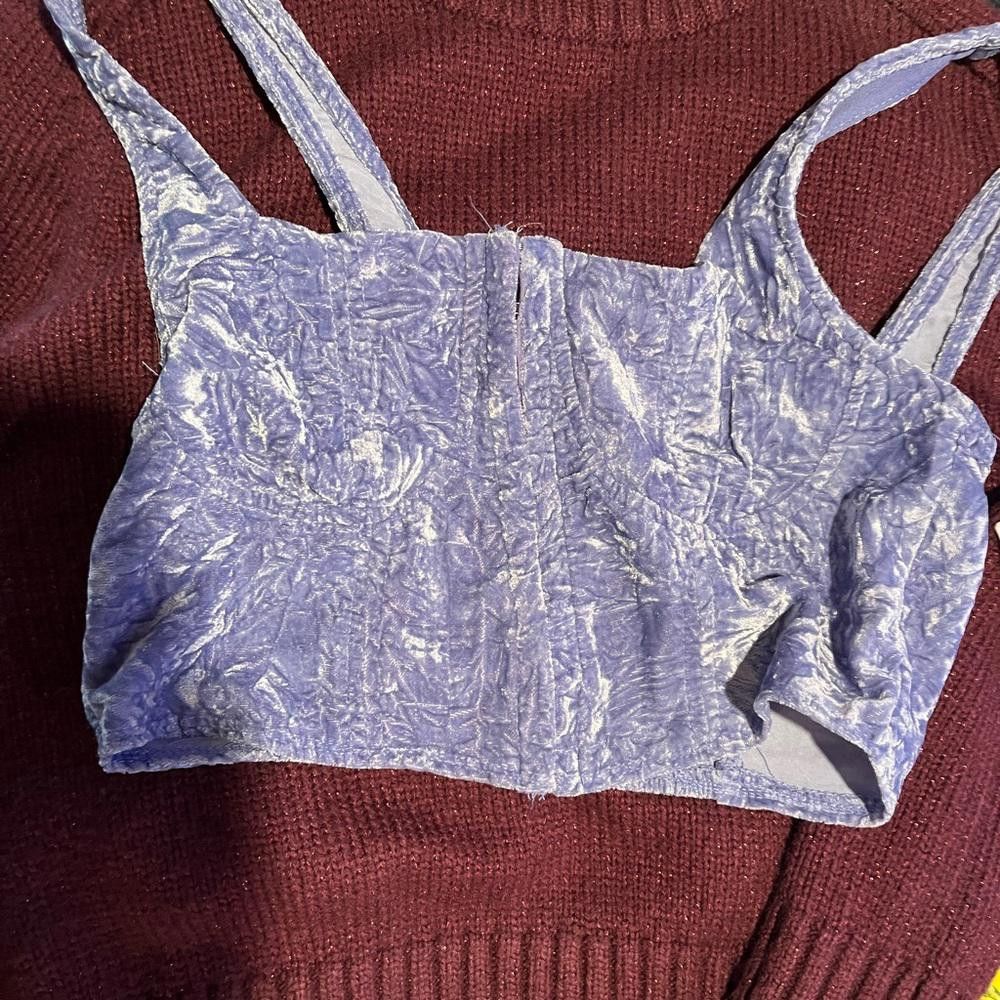 Designer Wild fable NWT velvet crop top Size S / US 4 / IT 40 - 6 Thumbnail
